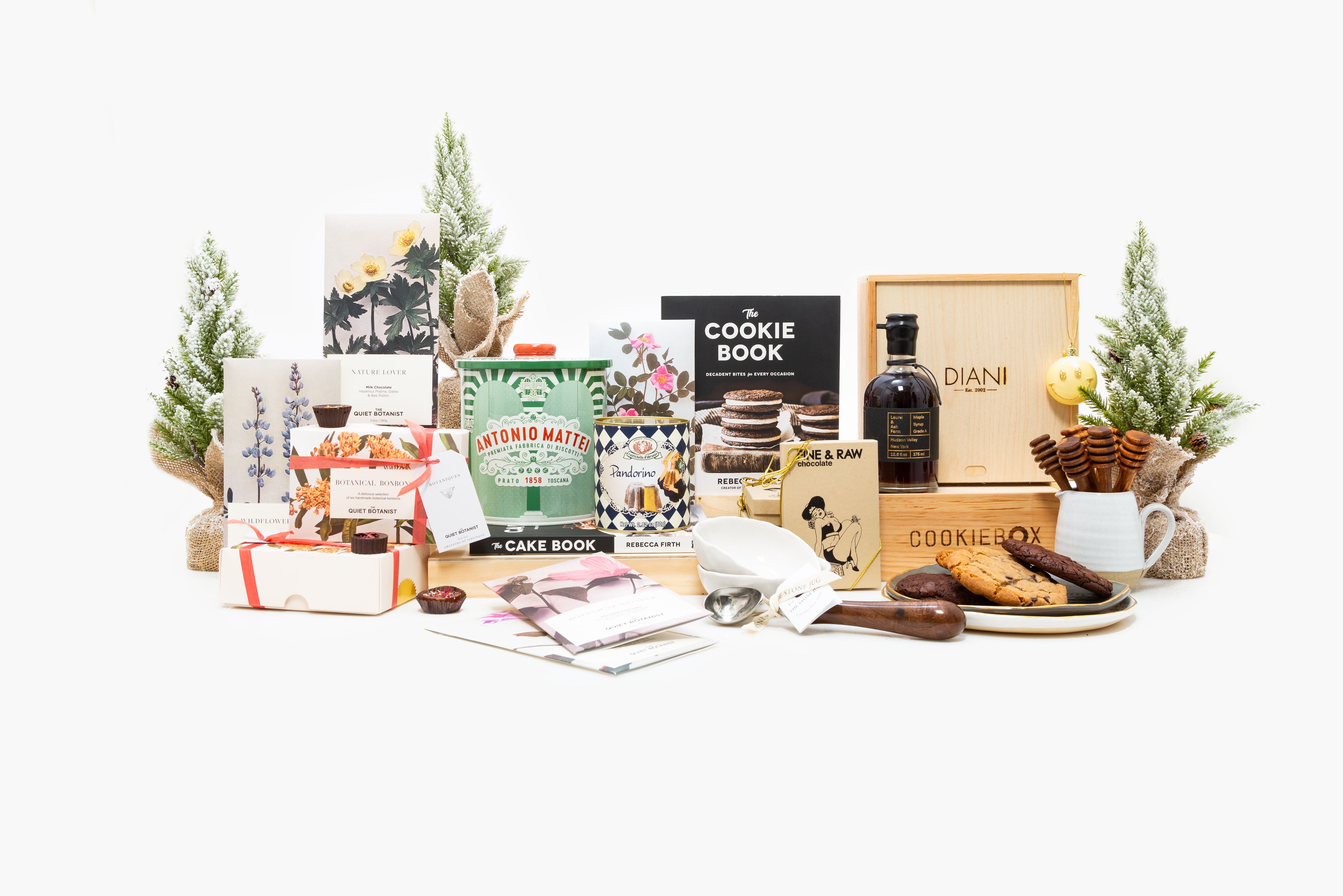 The DIANI Holiday Gift Guide