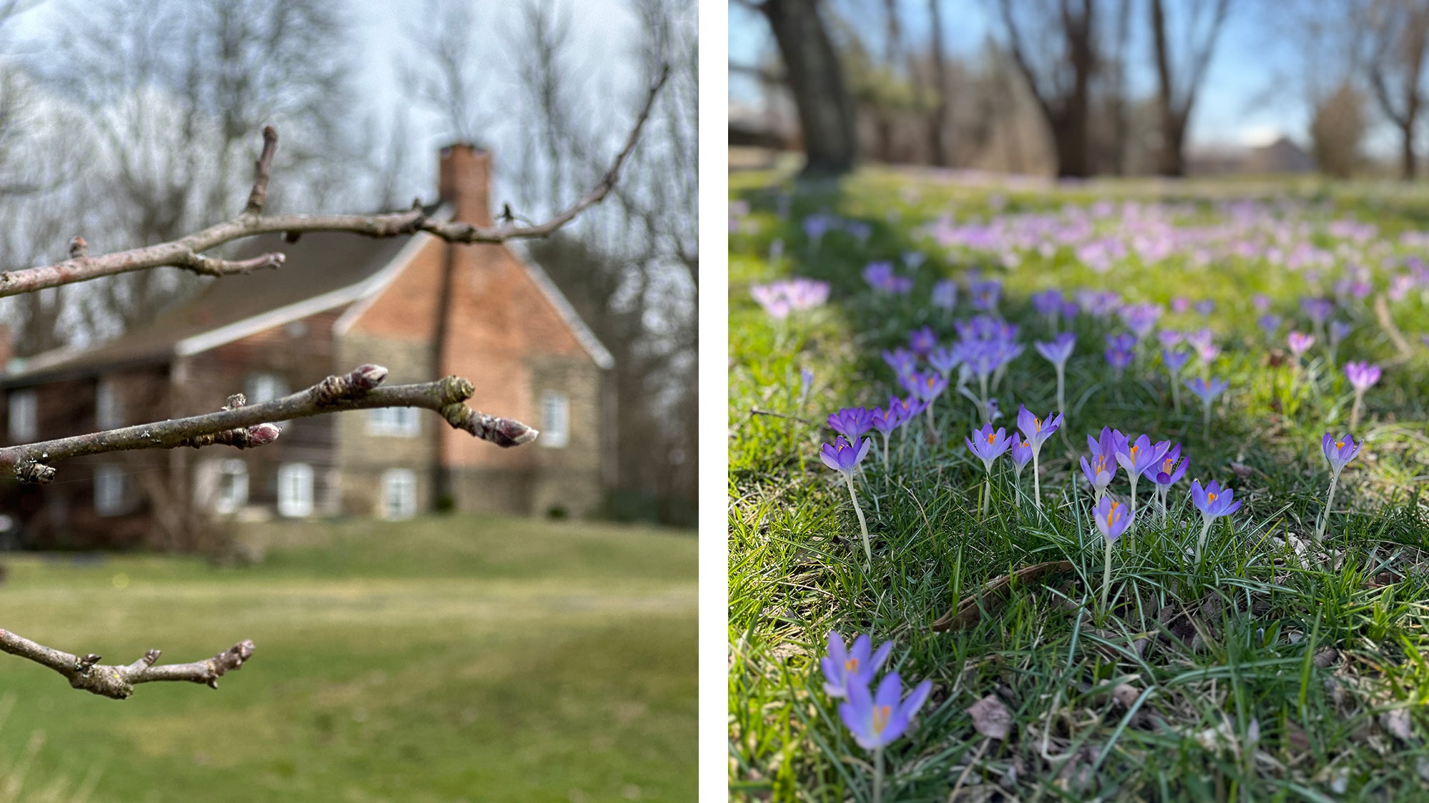 Signs Of Spring At The Farm