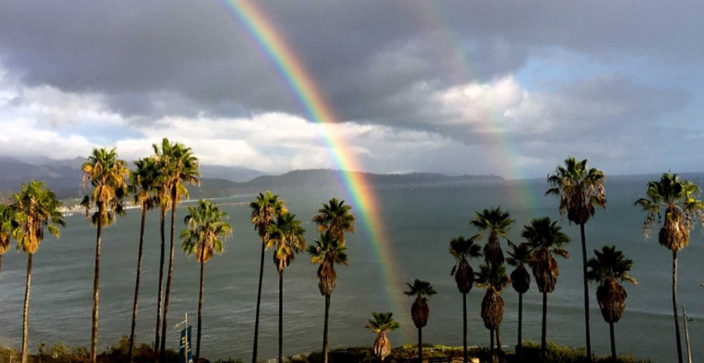 They Say Timing Is Everything...