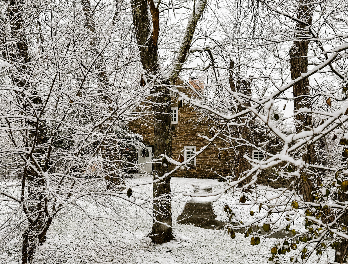 Caroline's Winter Edition Of The Farm