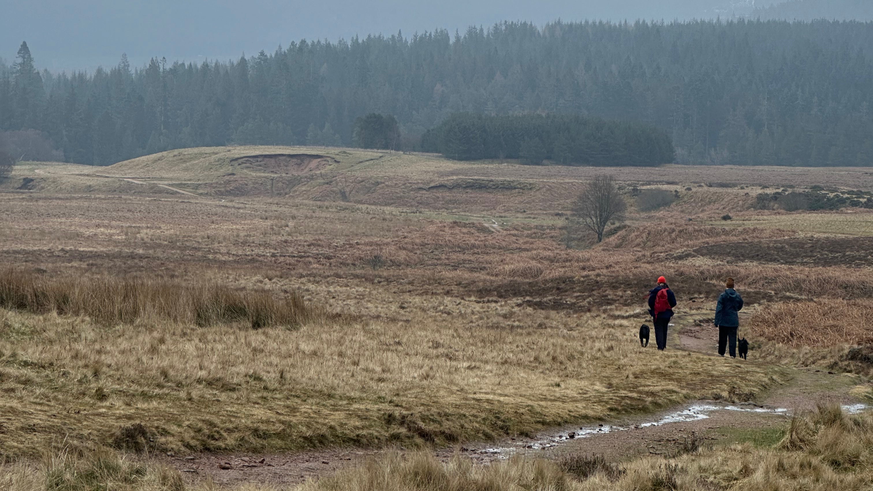 Caroline's Guide To The Scottish Highlands