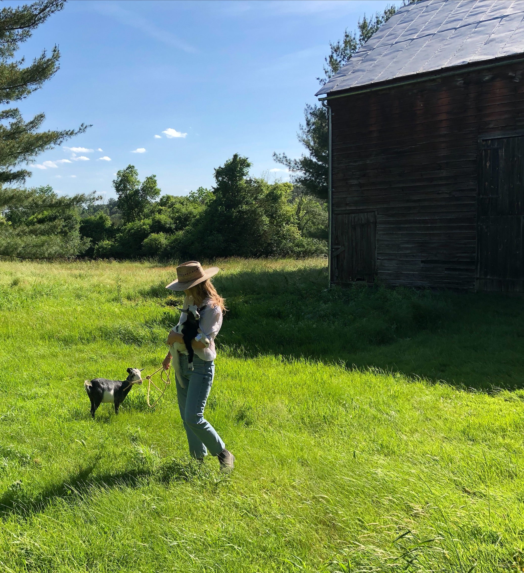 A Farm House Update
