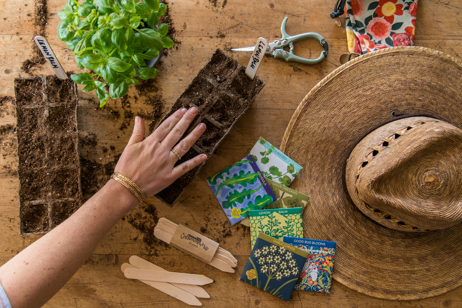 Caroline Shares The Start Of Her Kitchen Garden