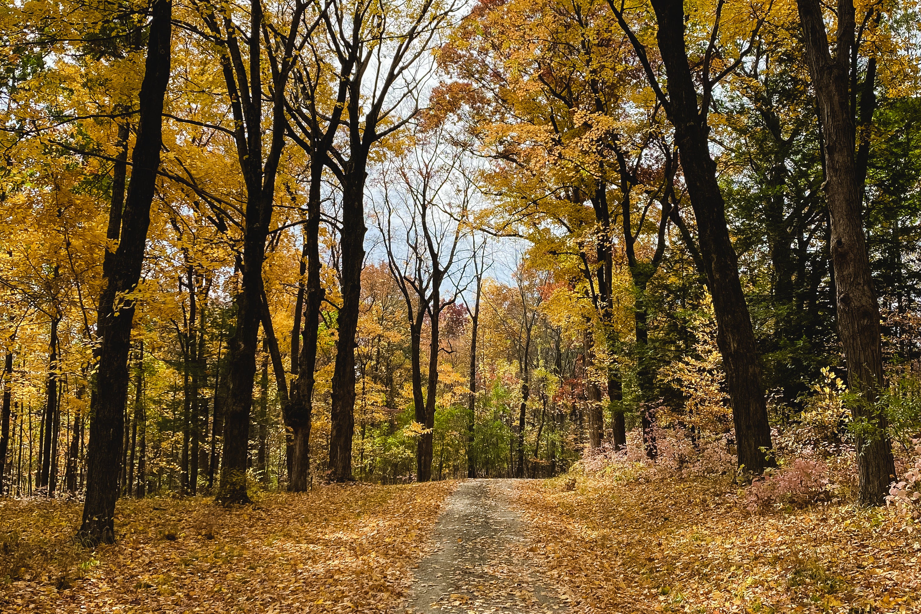 In Search Of Understanding