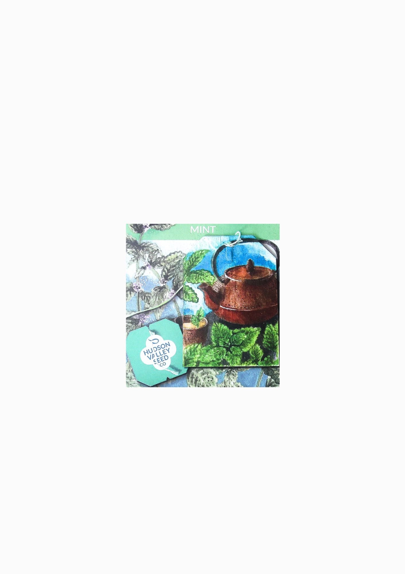 Mint Seed Pack