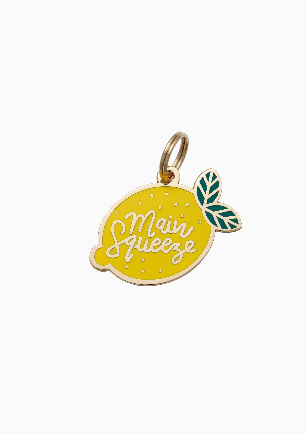 Main Squeeze Dog Tag