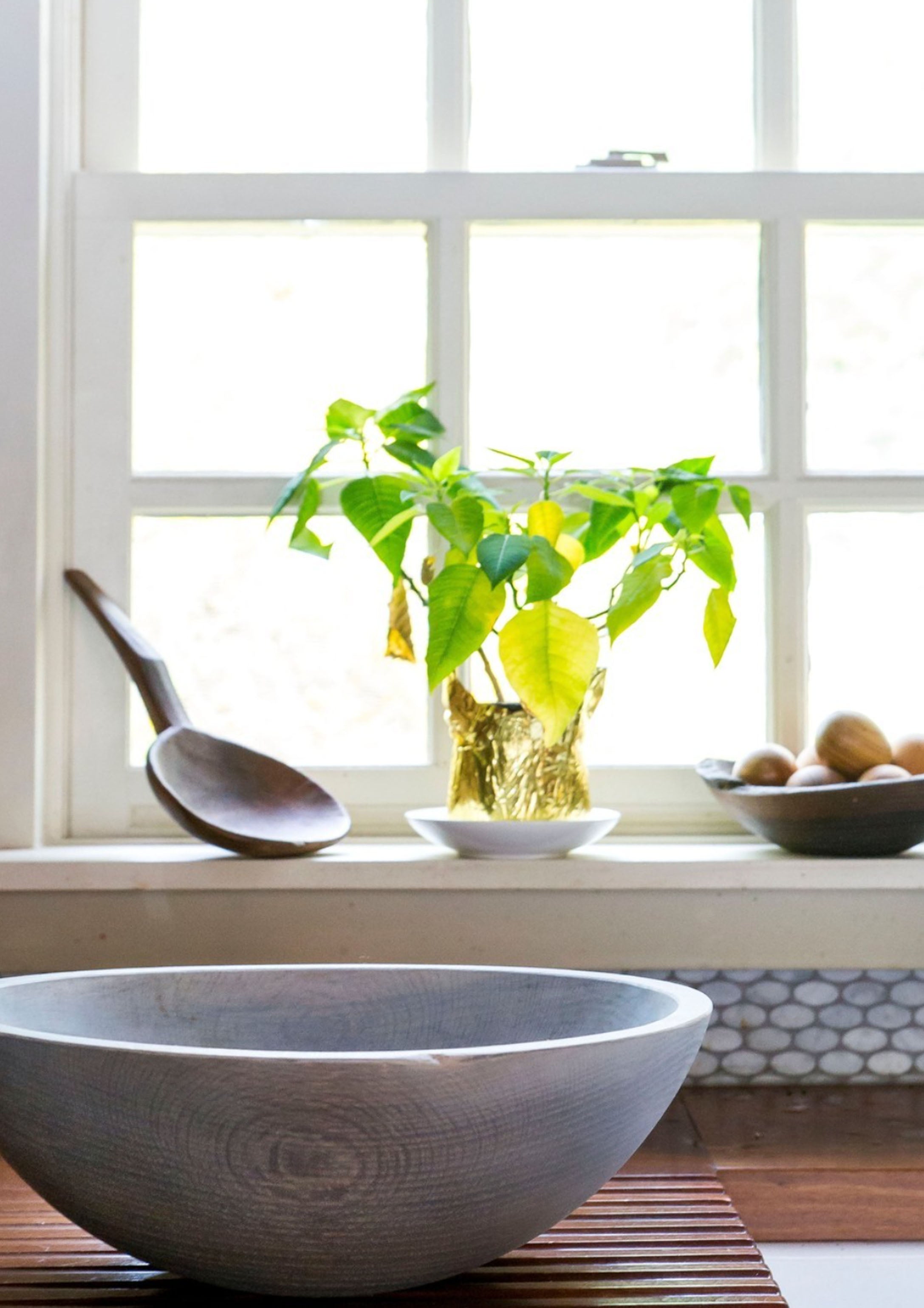 Classic Driftwood Round Bowl | 15"