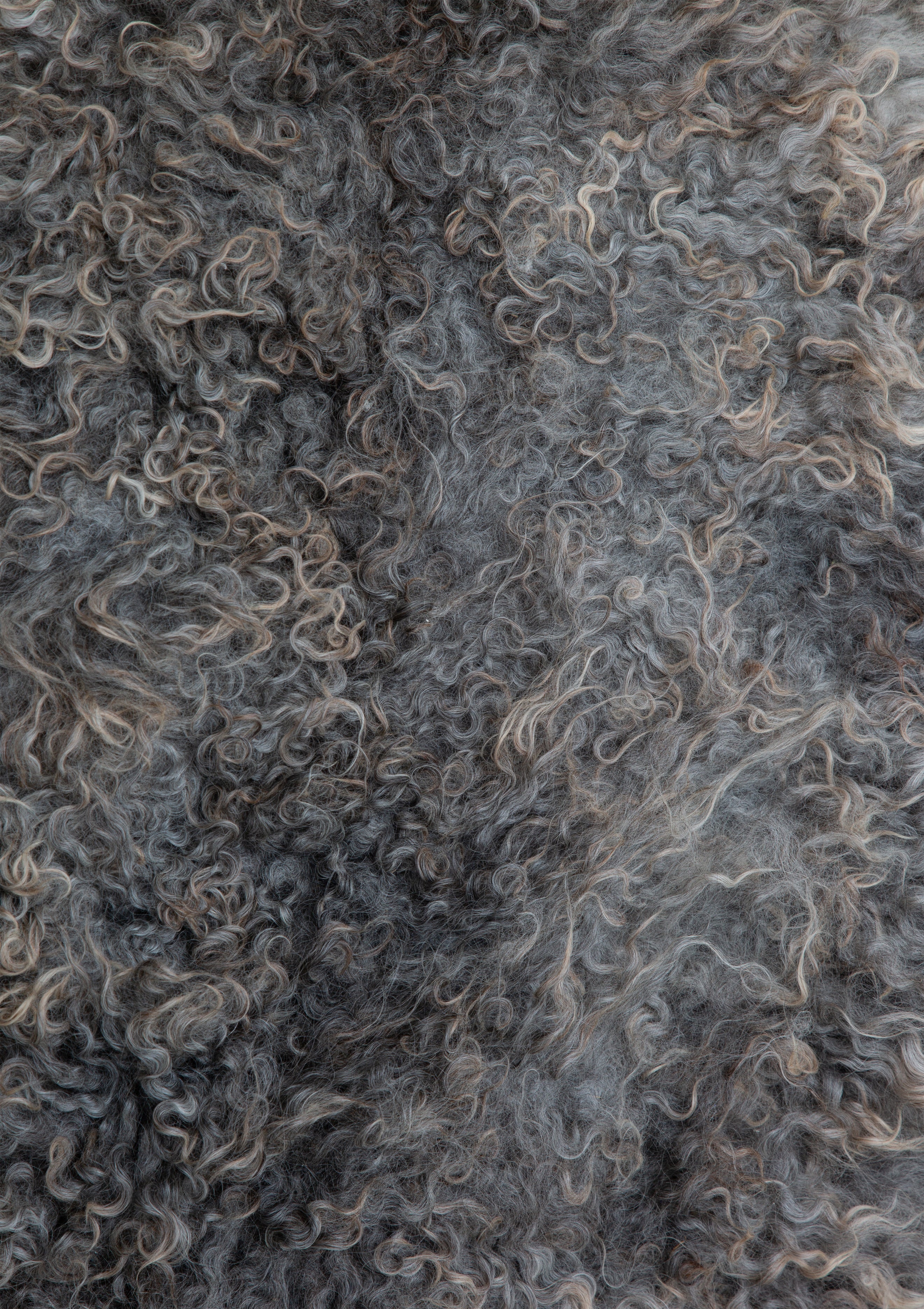 Giles Gotland Living Rug 2