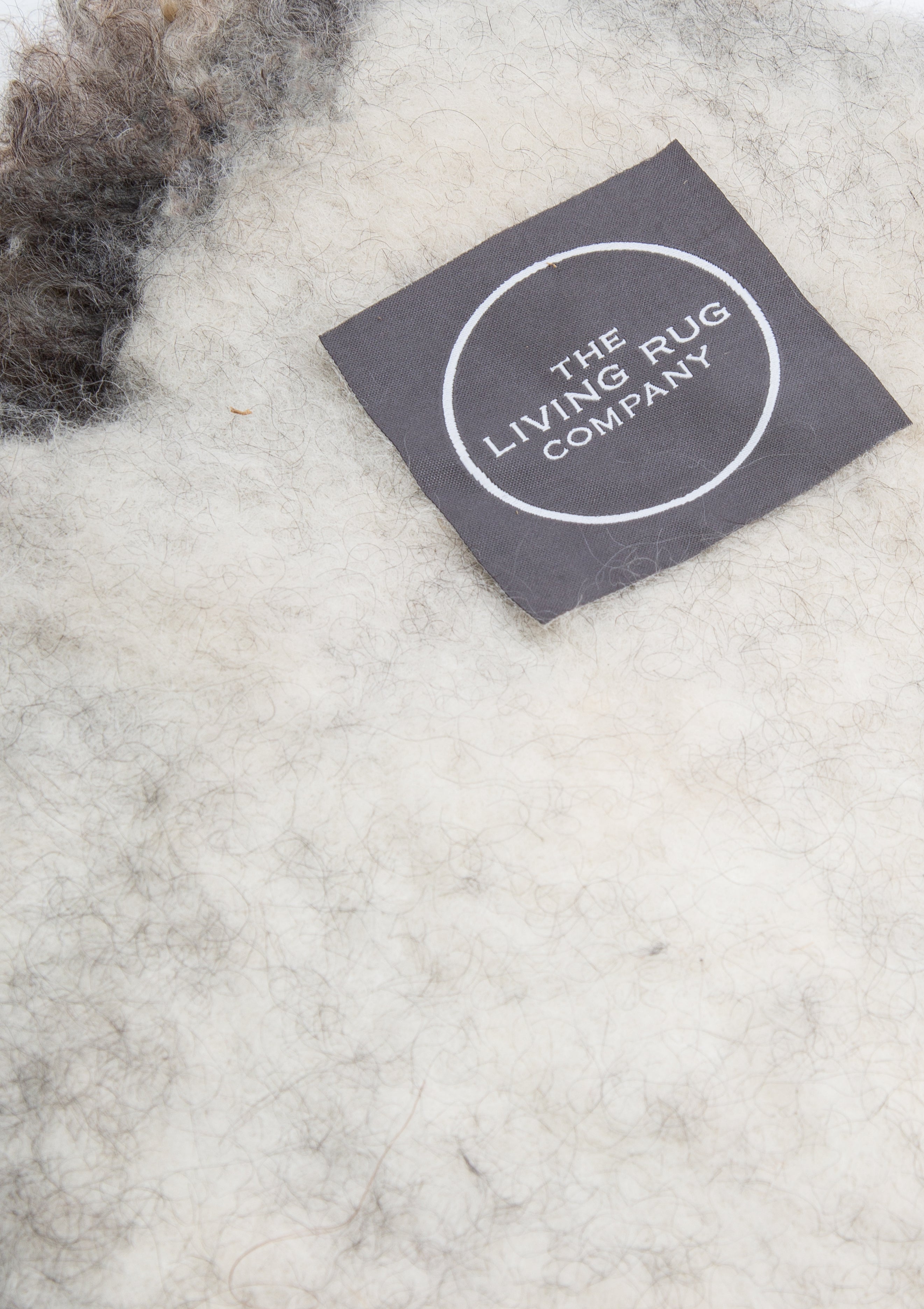 Giles Gotland Living Rug 2