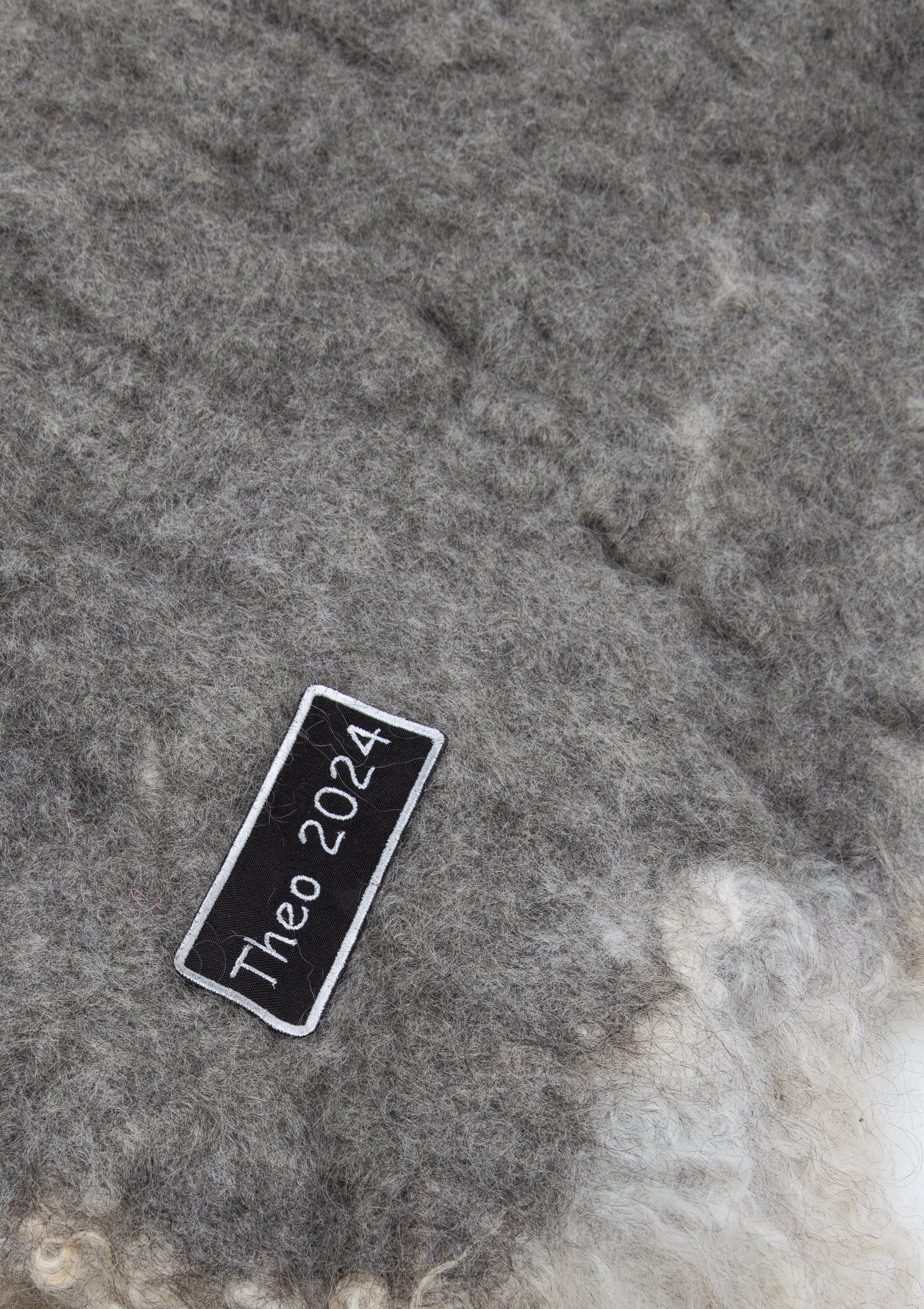 Theo Gotland Living Rug