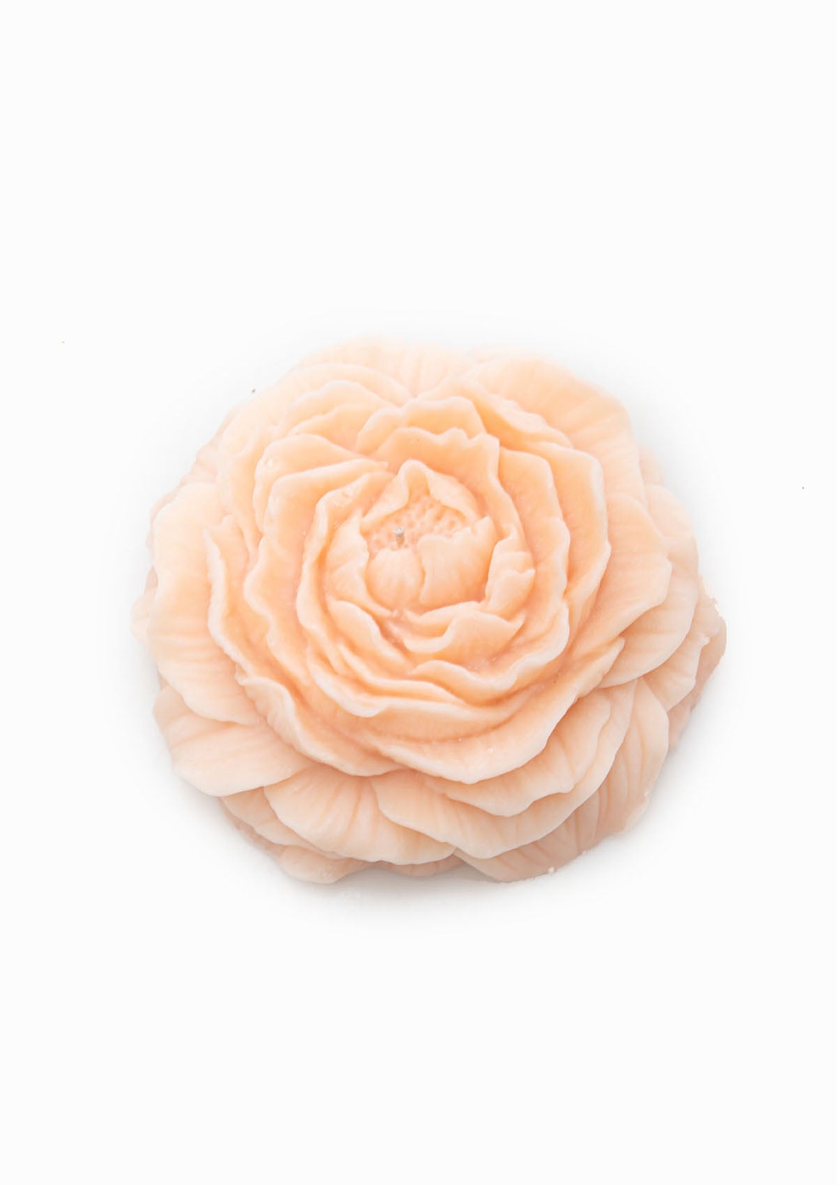 Large Peony Candle | Light Peach