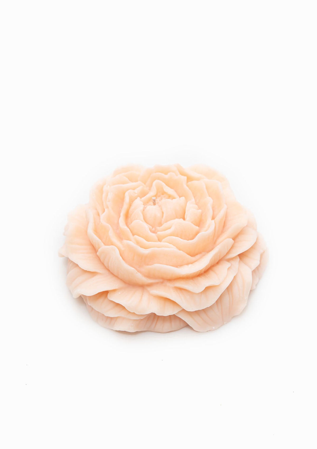 Large Peony Candle | Light Peach