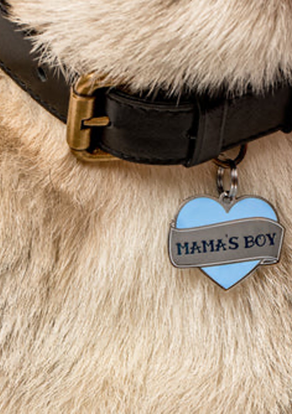 Mama's Boy Dog Tag