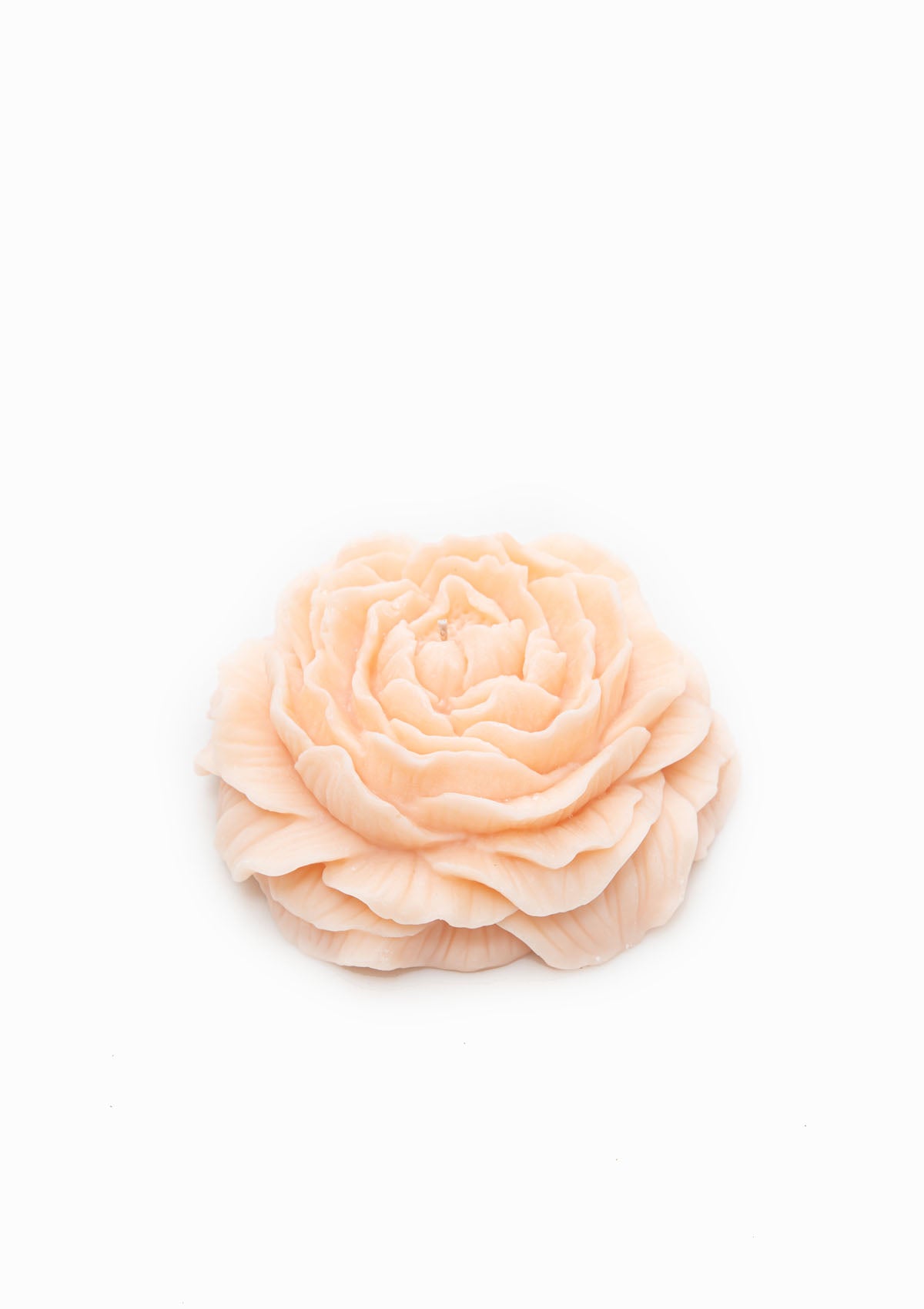 Medium Peony Candle | Peach
