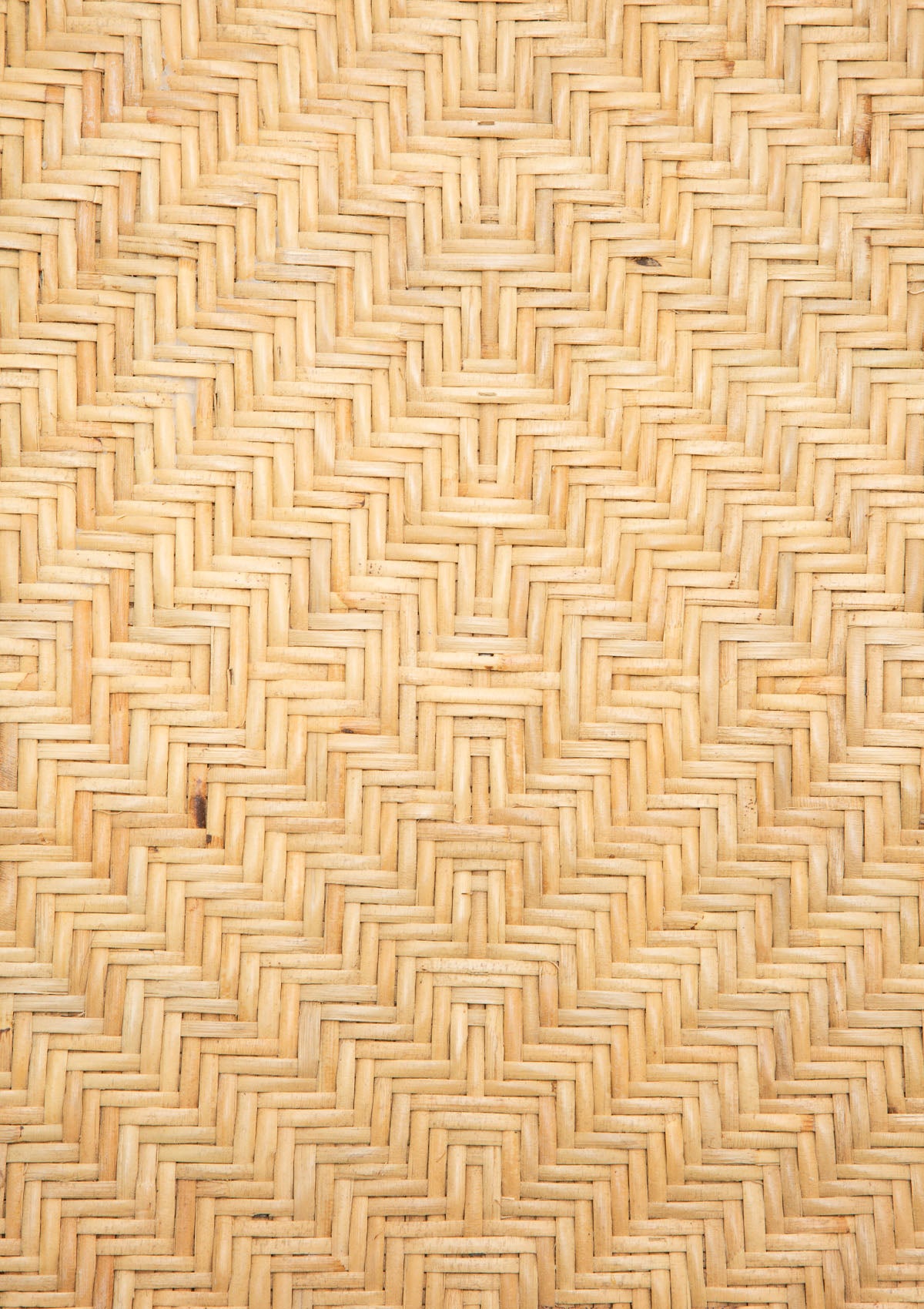 The Original Foldable Sunbed | Braided