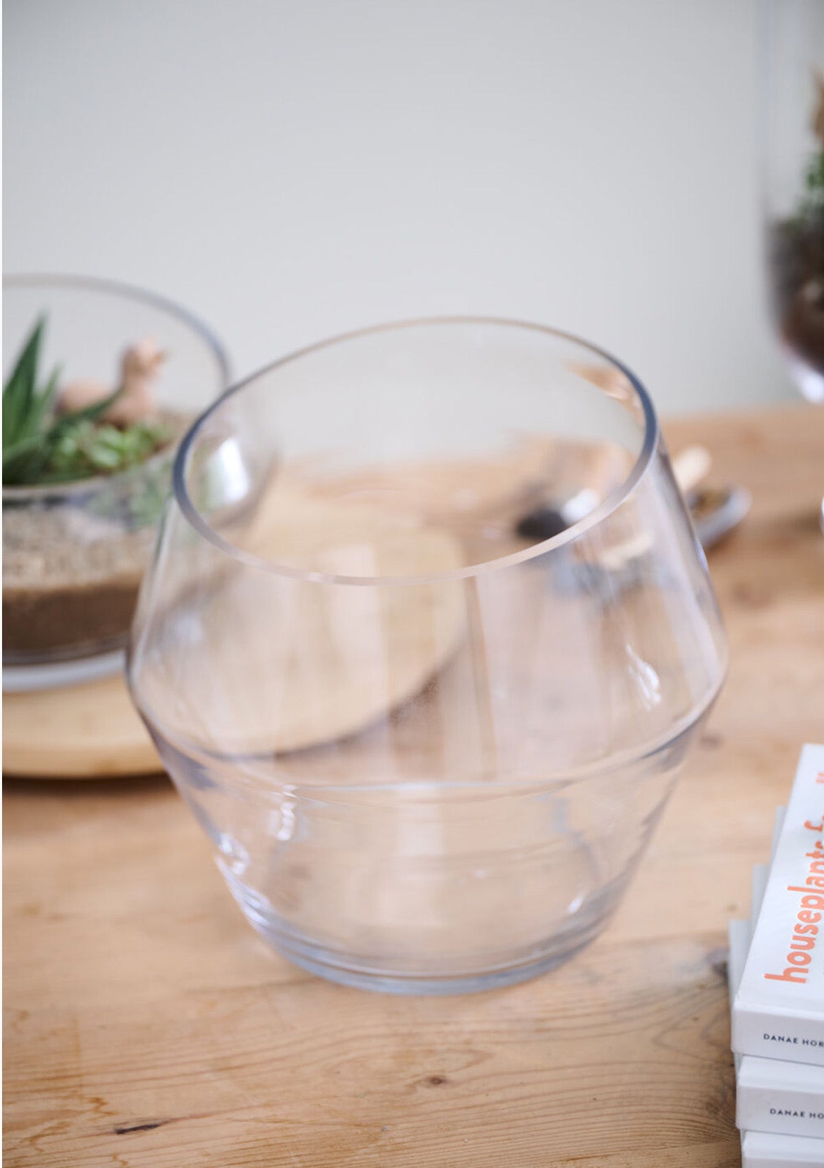 Dynamic Terrarium | 9.25" x 9"