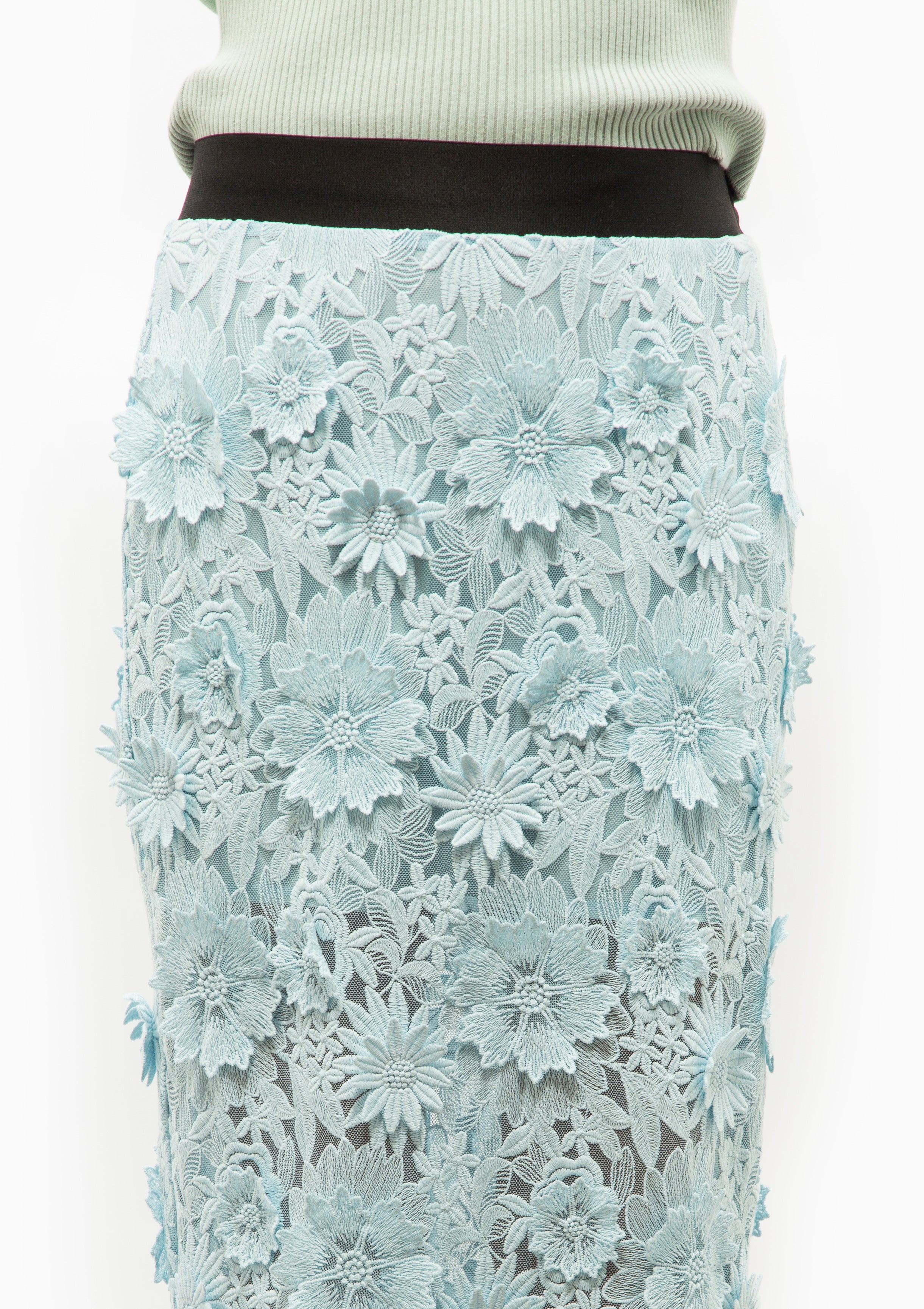 Applique Pencil Skirt | Robins Egg