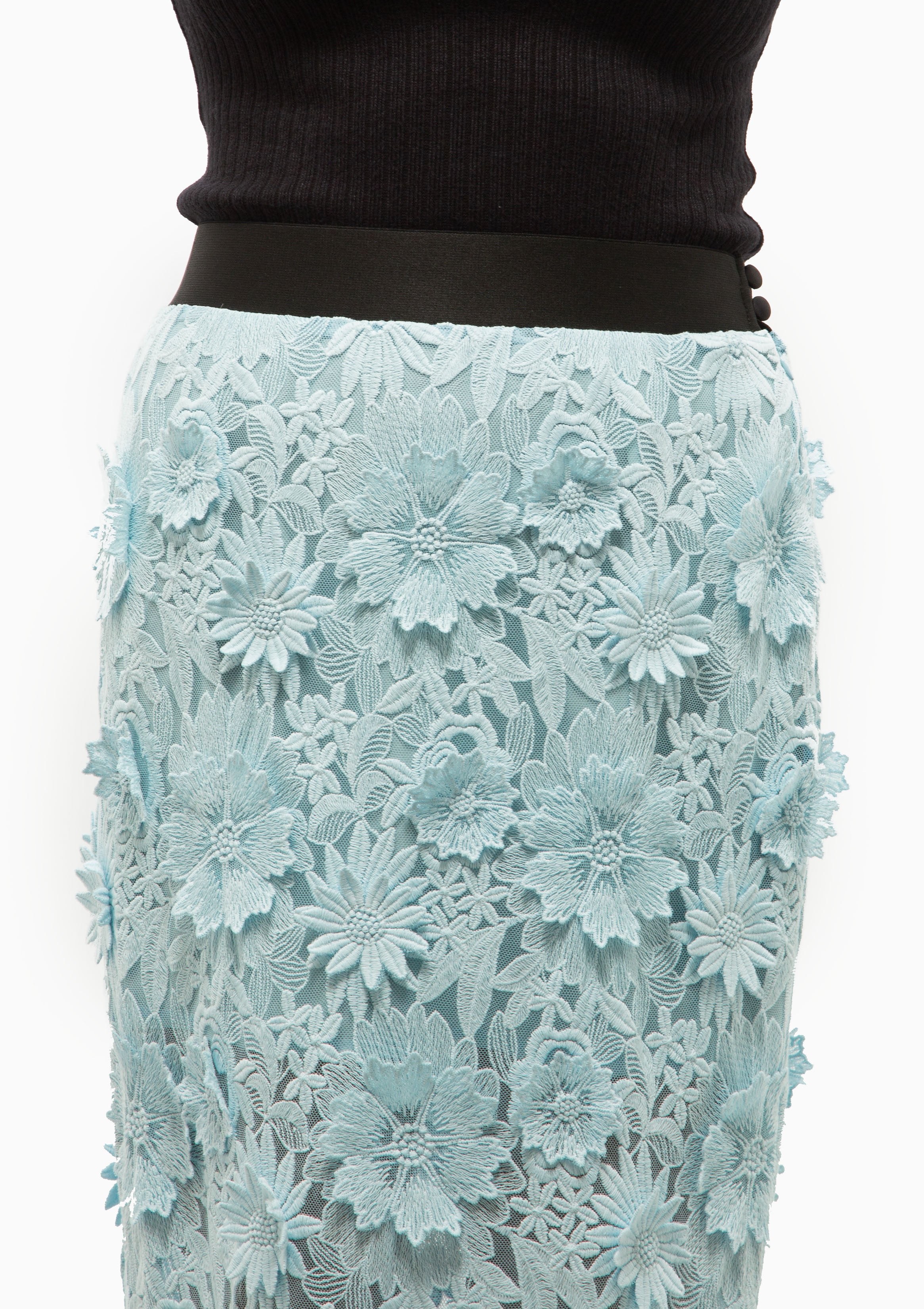 Applique Pencil Skirt | Robins Egg