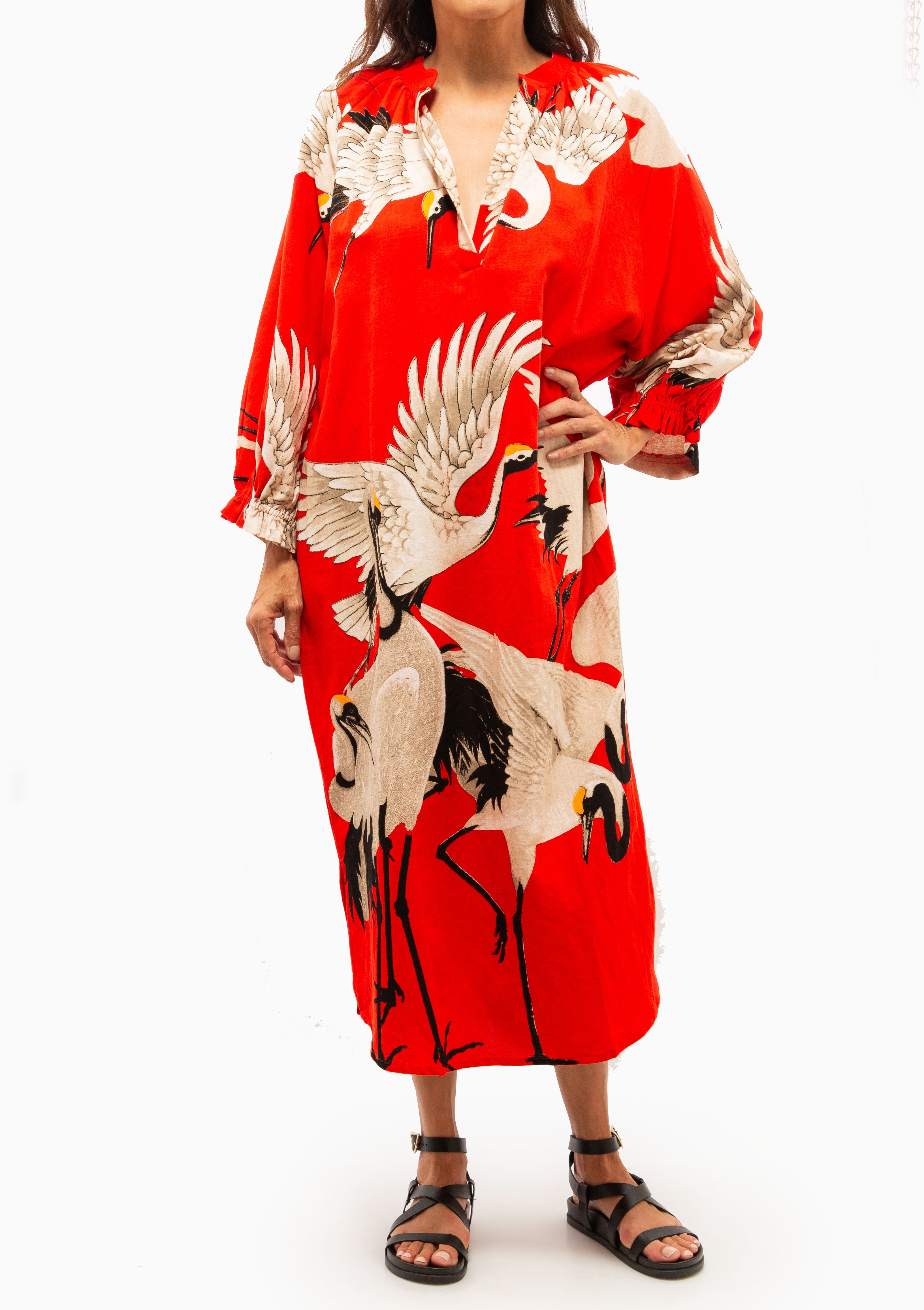 Stork Raglan Dress | Scarlet