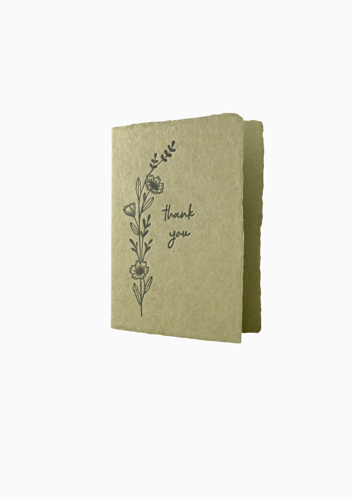 Thank You Olive Paper Greeting Card