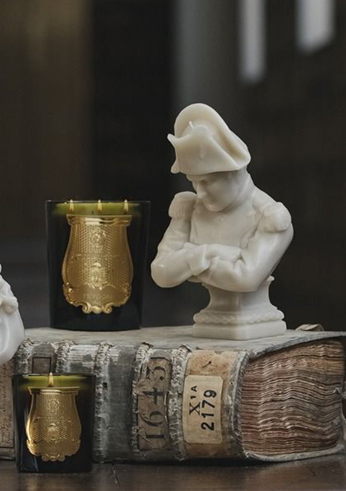 Napoleon Bust | Stone