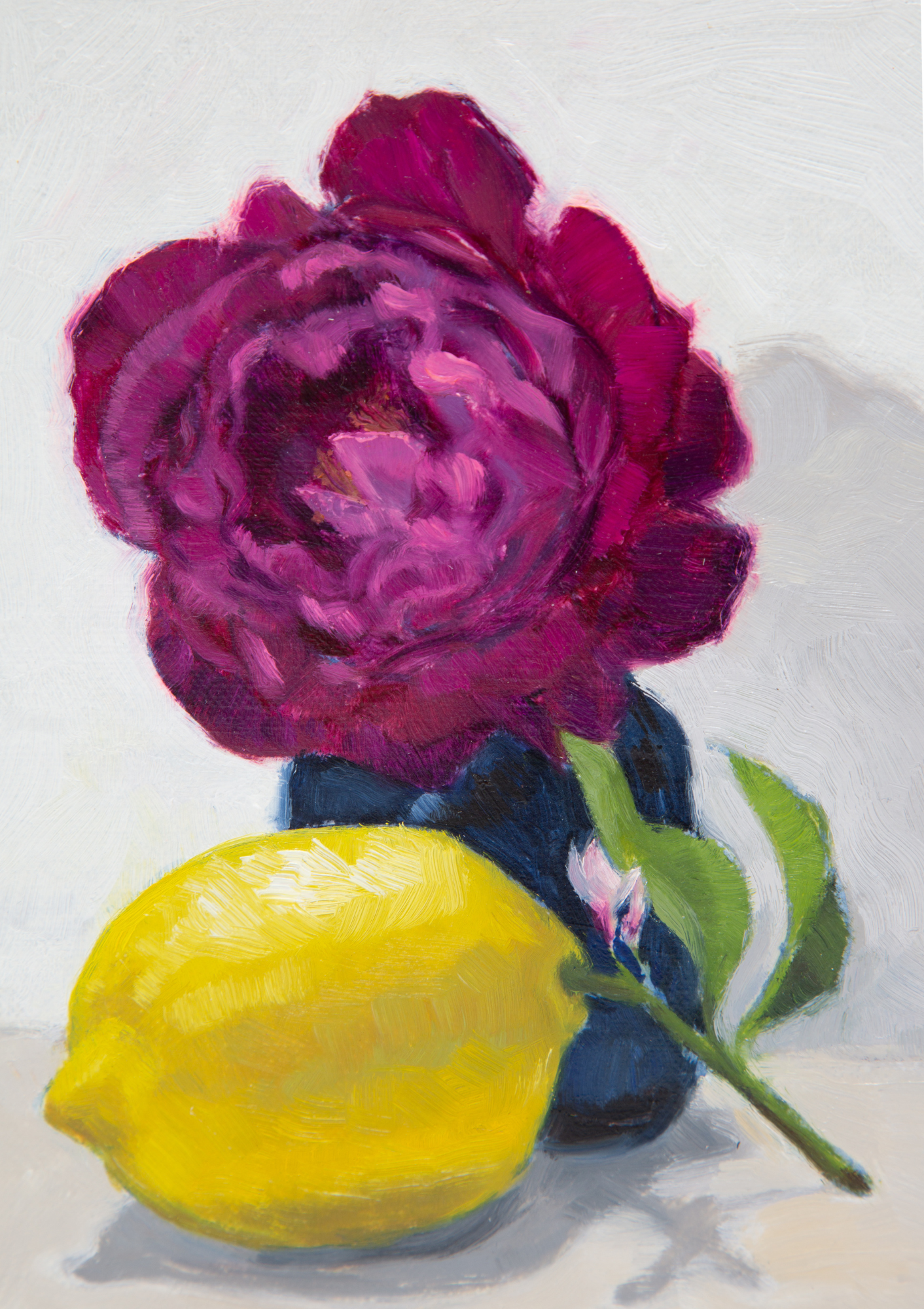 Violet Rose With Lemon Oil Painting On Panel | 8"x6"