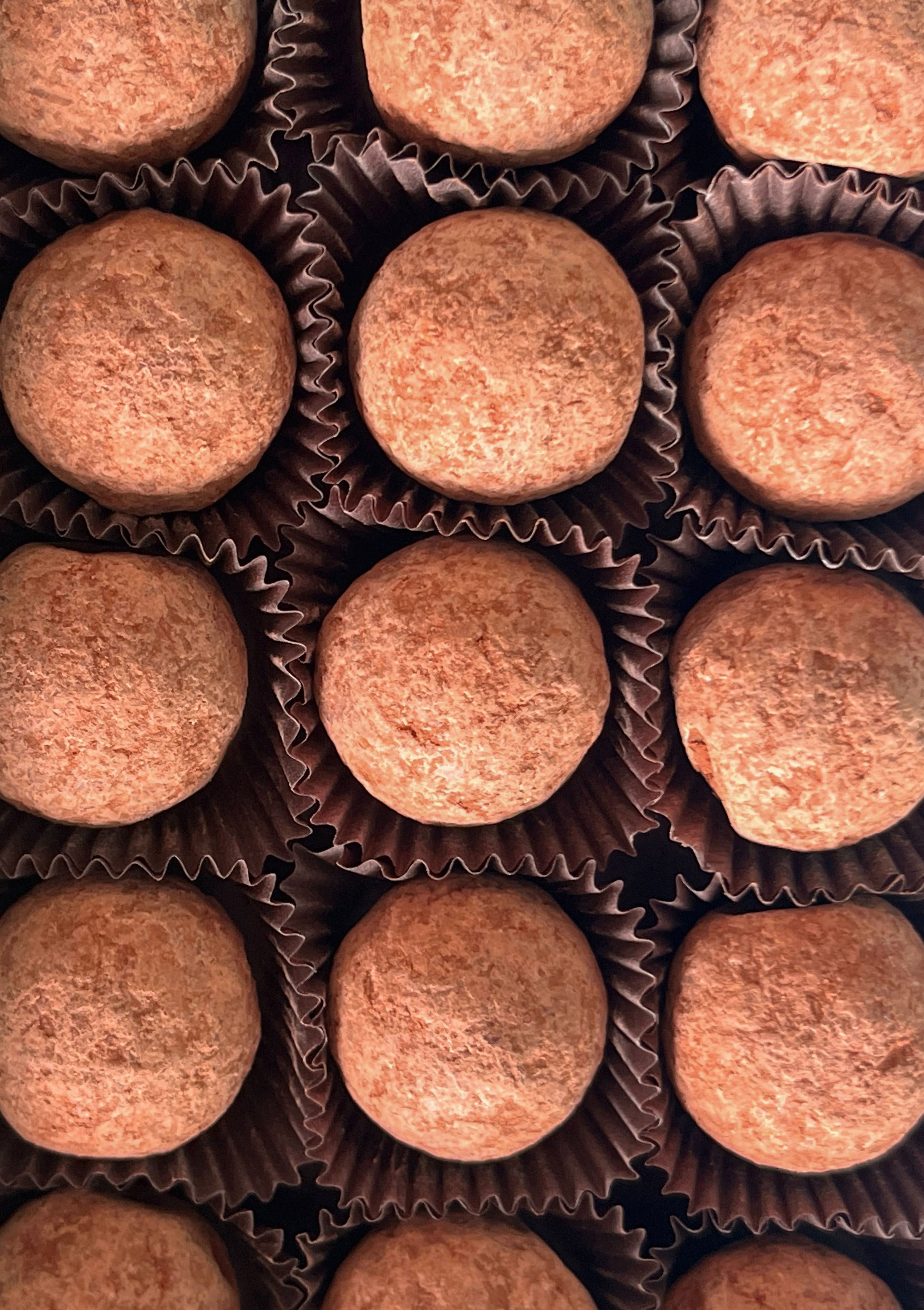 Louis Sherry Champagne Truffles 15-Piece Tin | Howard Harrison Cheetah