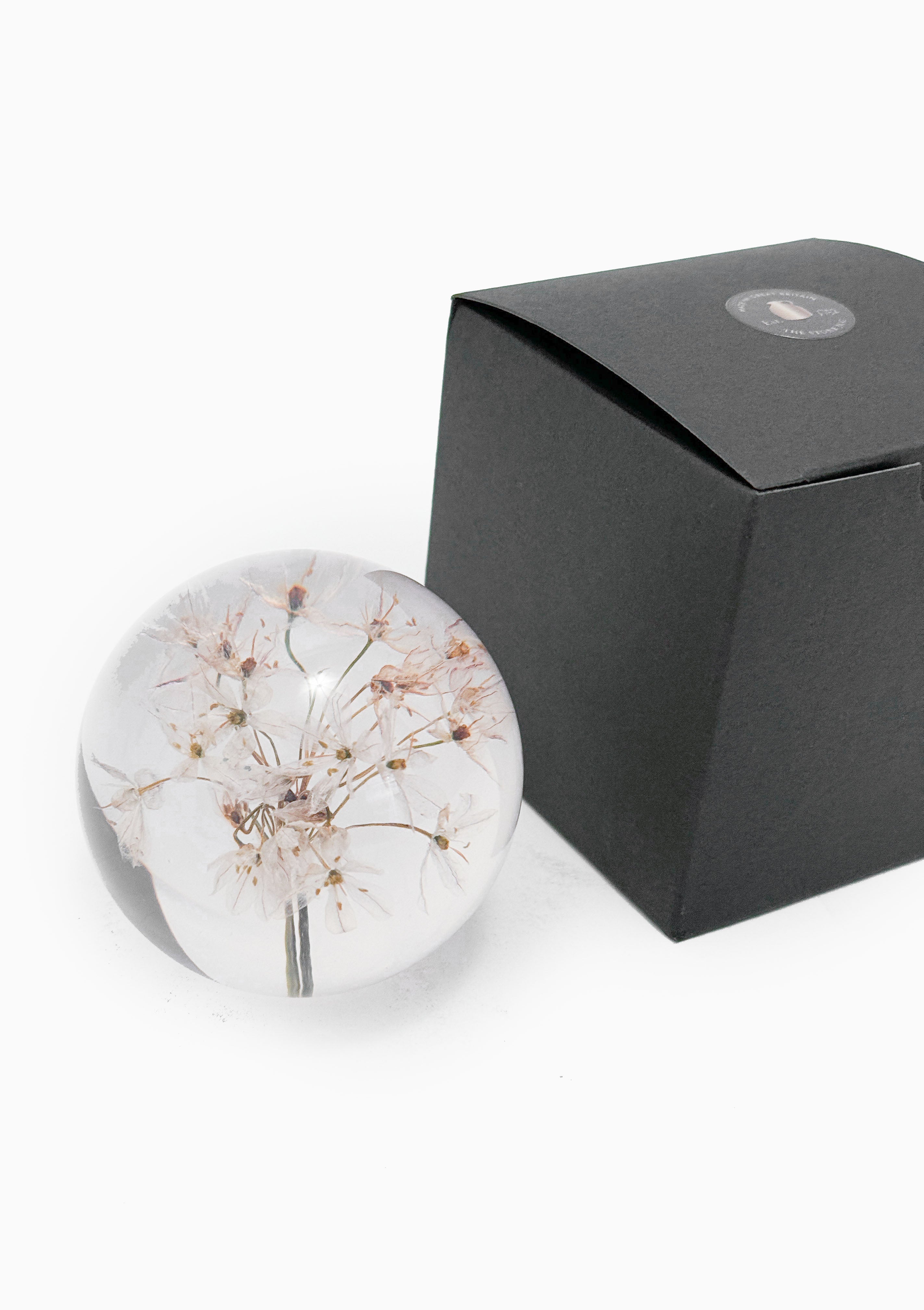 Garlic Small Paperweight