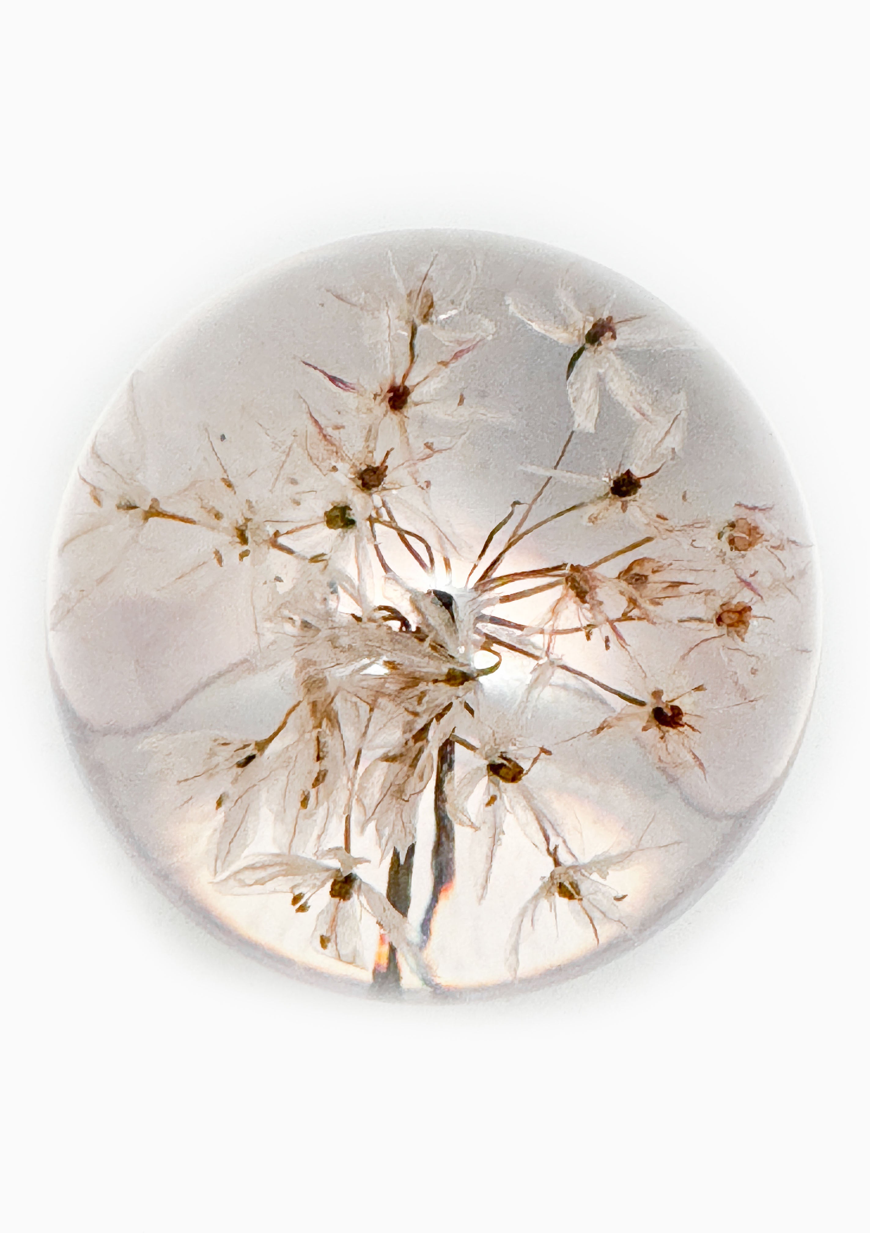 Garlic Small Paperweight