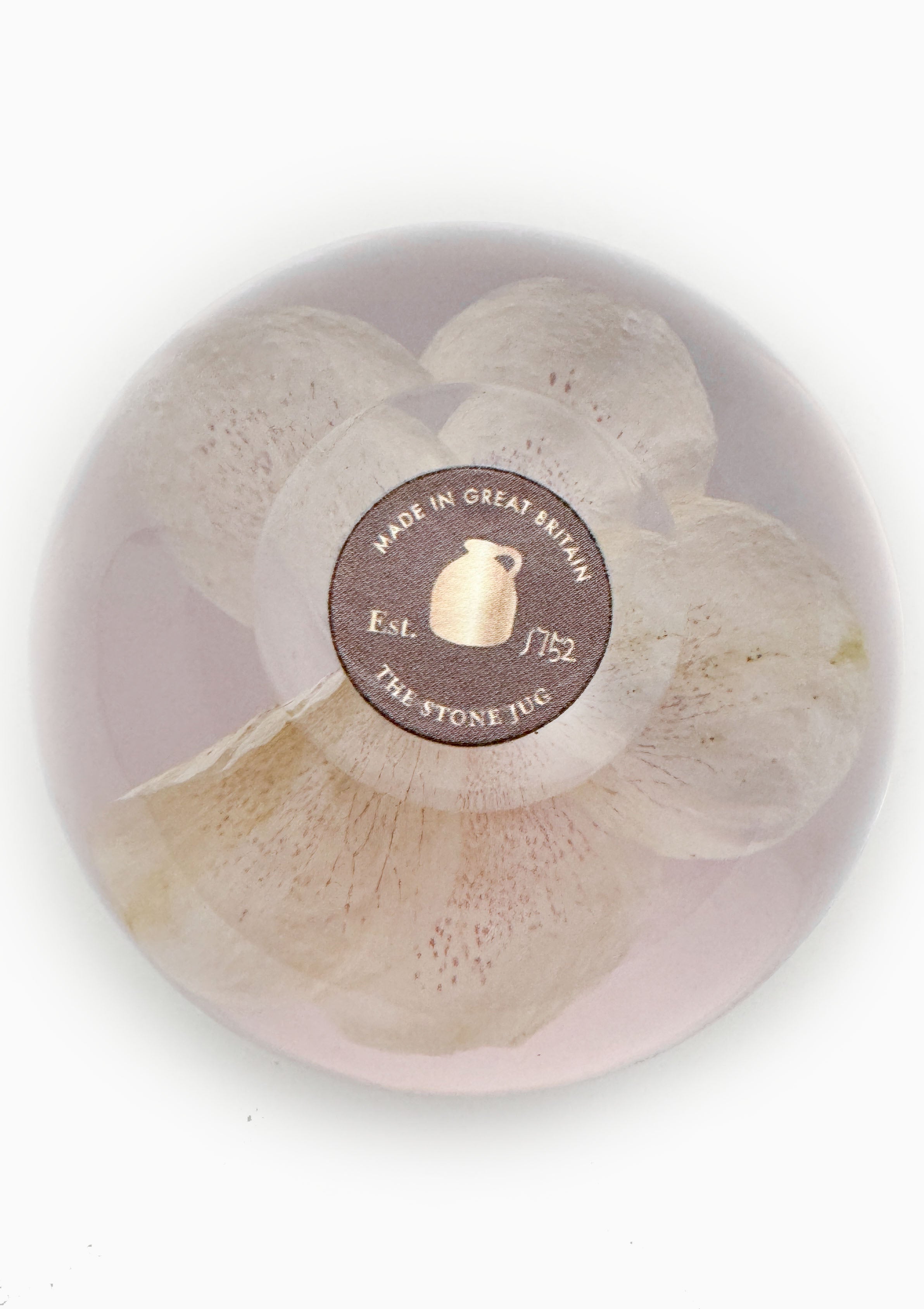 Hellebore Large Paperweight