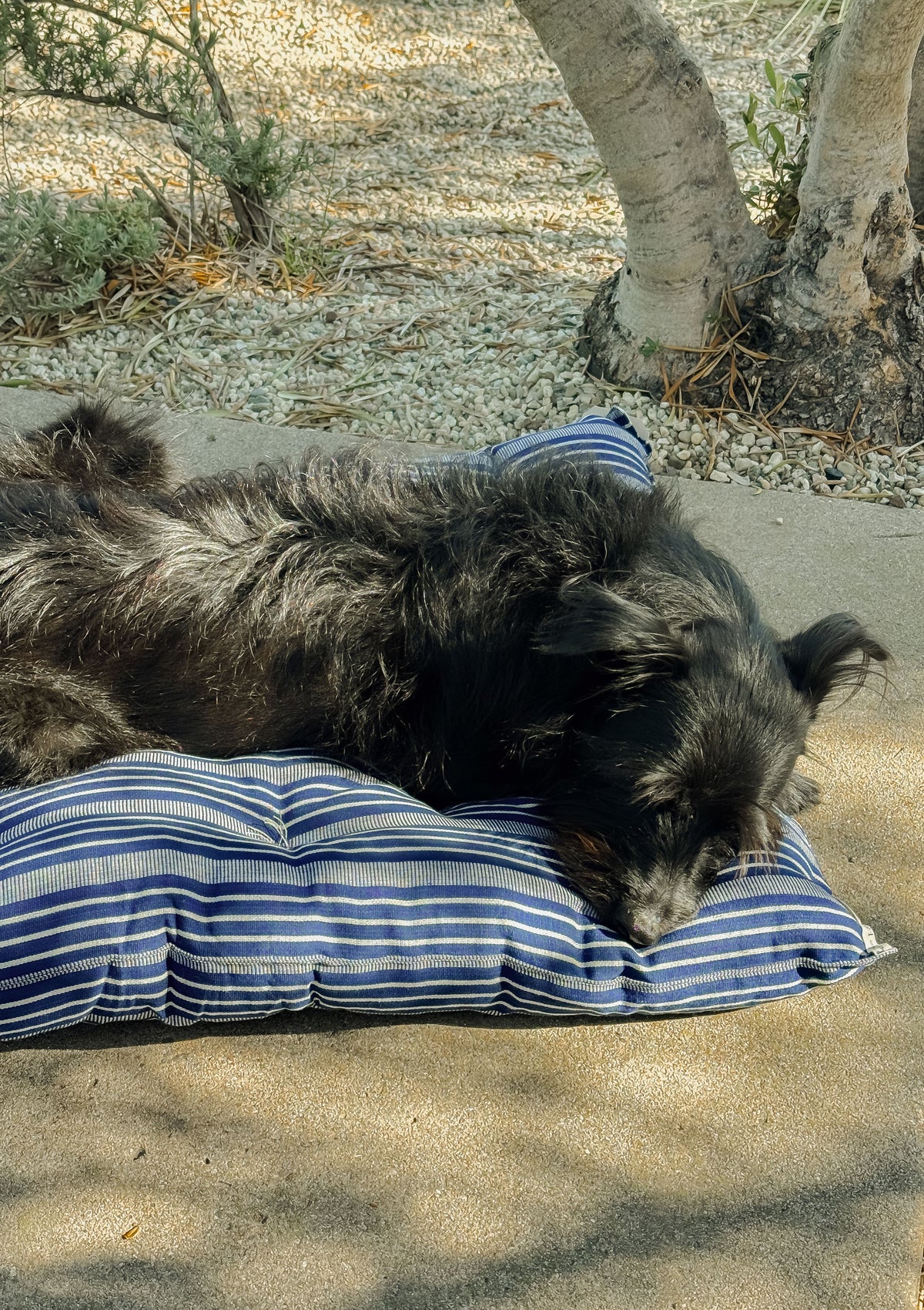 New Small Pet Bed, Navy Quad Stripe | 24" x 33"