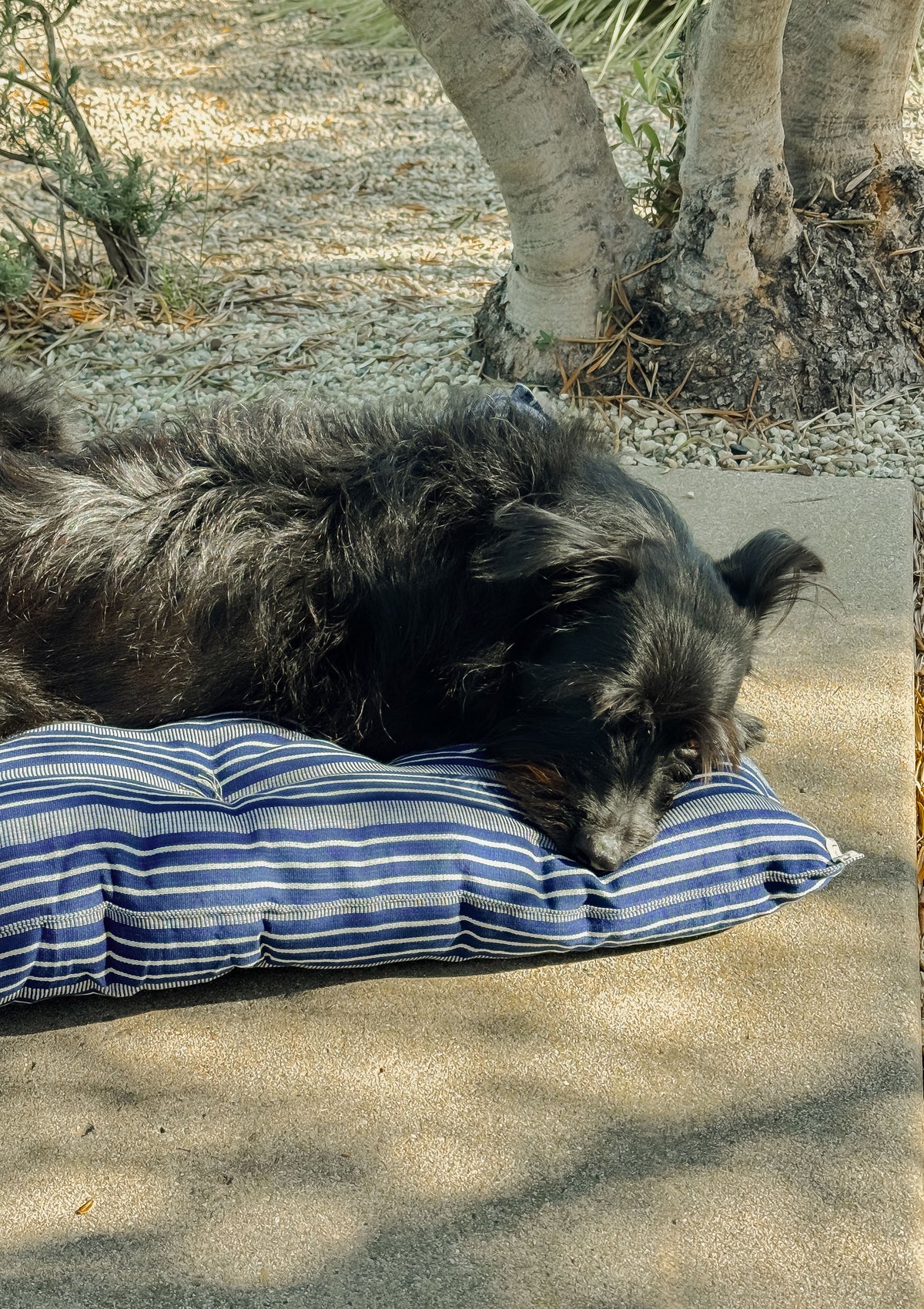 New Small Pet Bed, Navy Quad Stripe | 24" x 33"