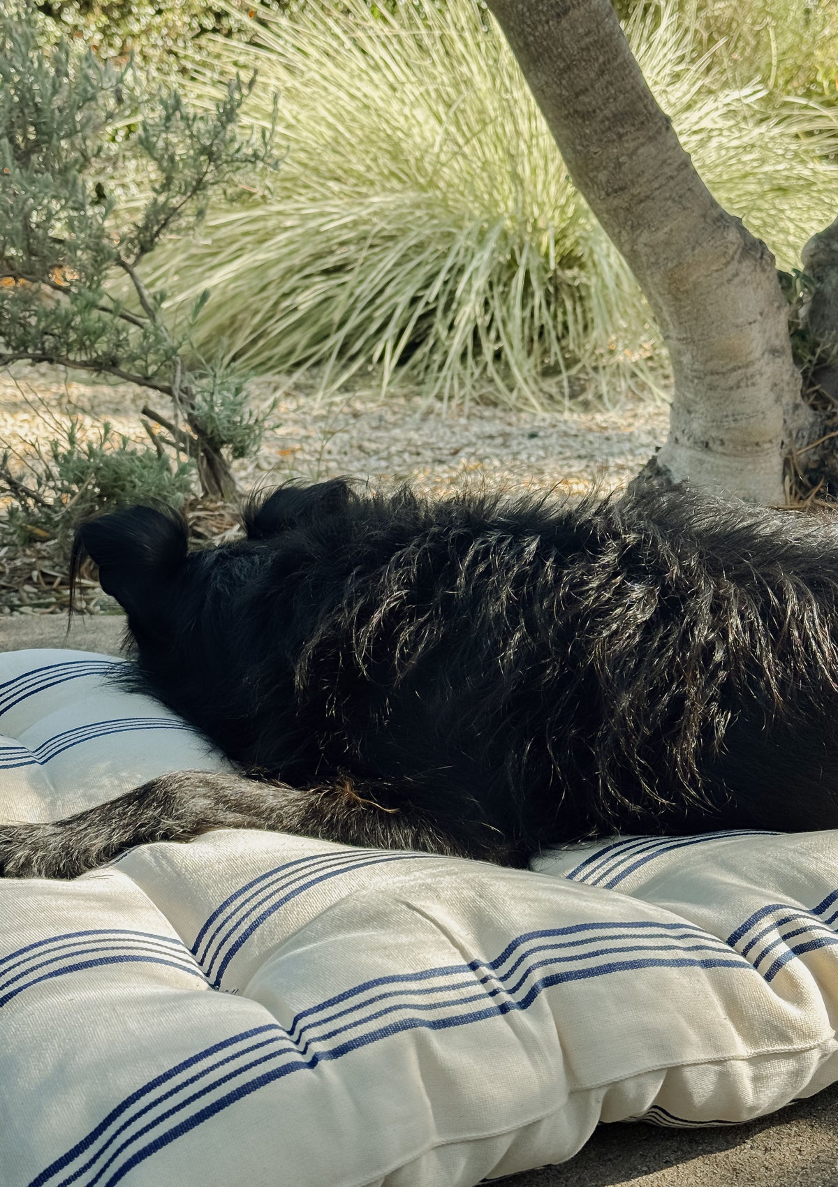 New Large Pet Bed, Navy/Ecru Thin Stripe | 24" x 42"