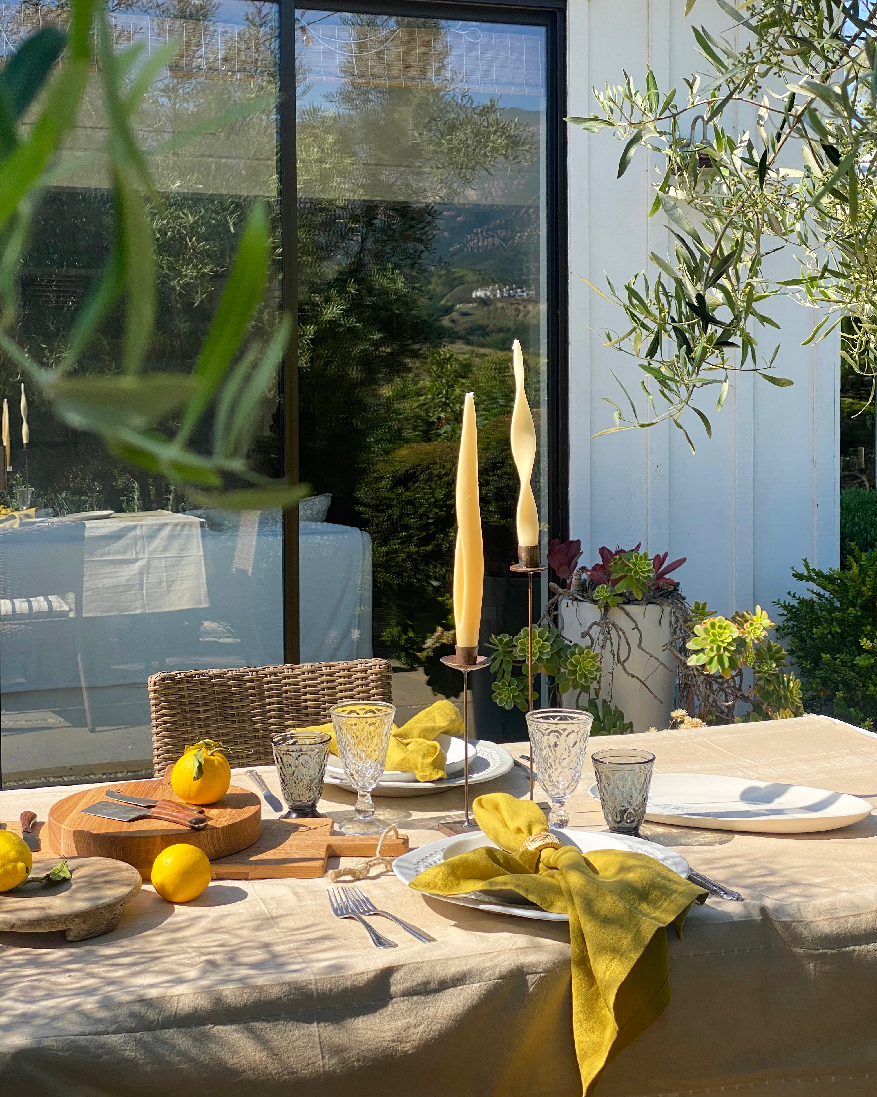 Echinacea 100% Stone Washed Linen Napkin, Set Of 4