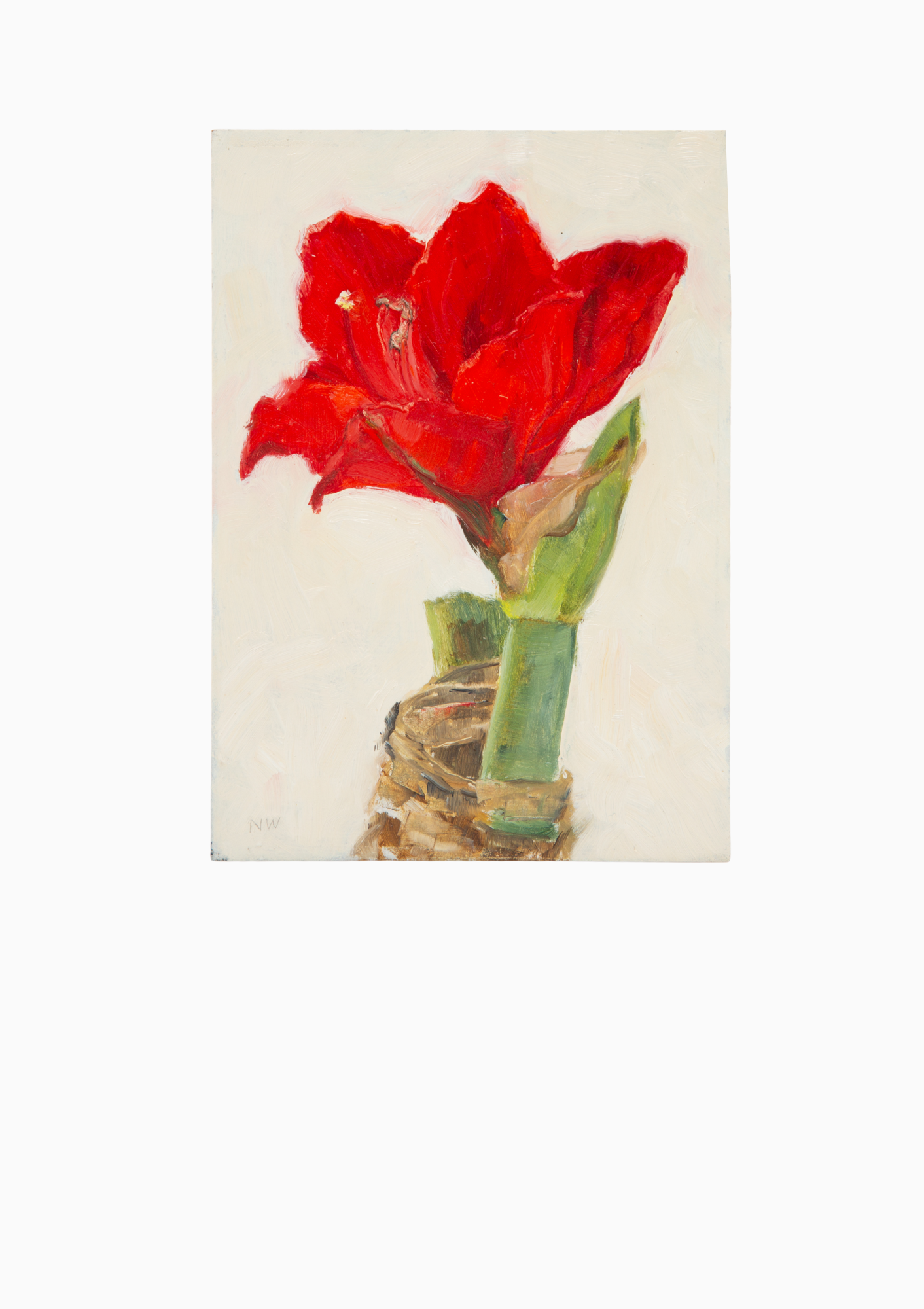 Red Amaryllis Oil Painting On Panel | 7"x5"