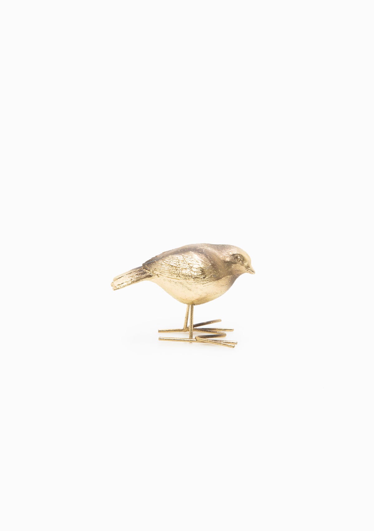 Brass Earth Bird