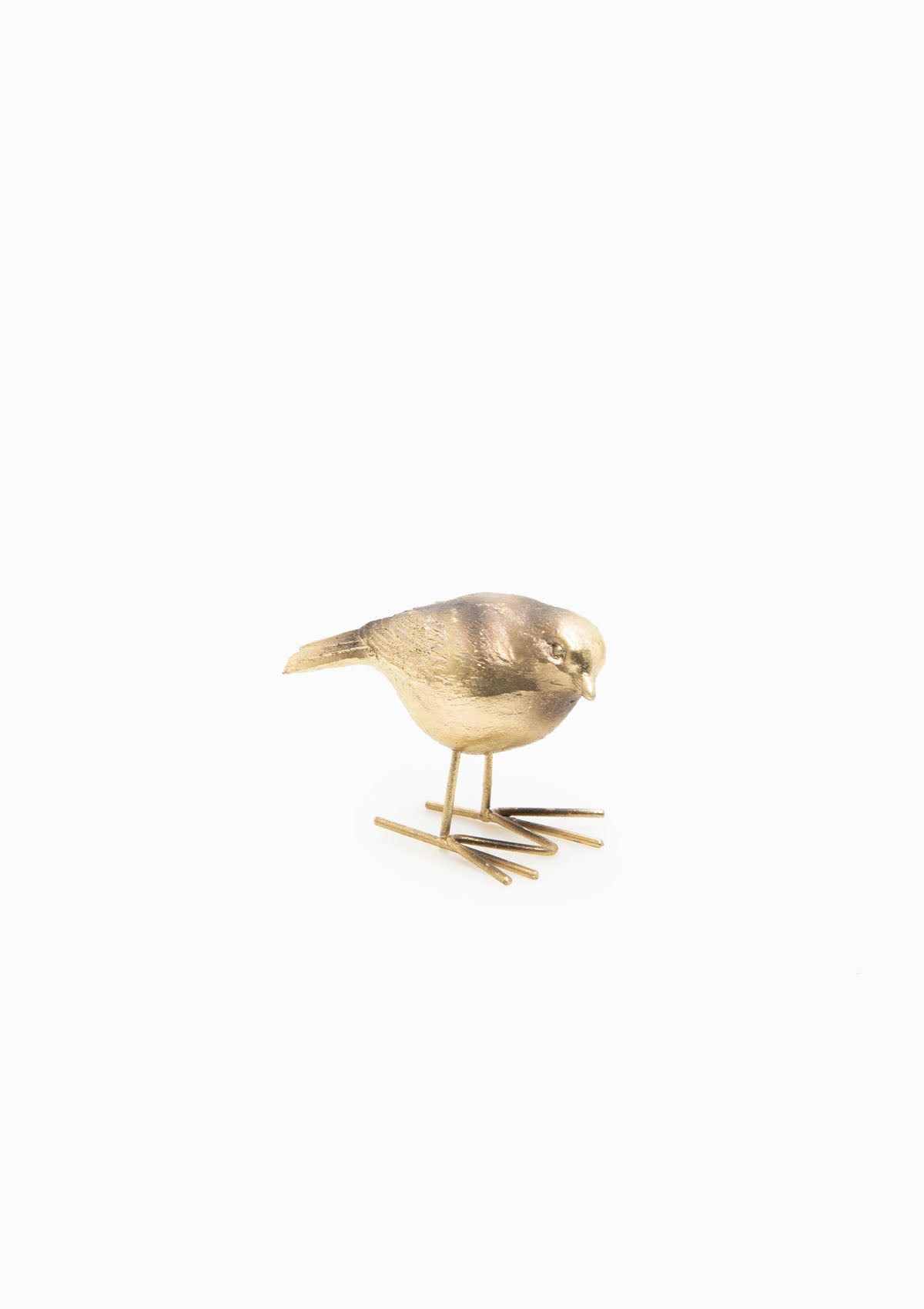 Brass Earth Bird