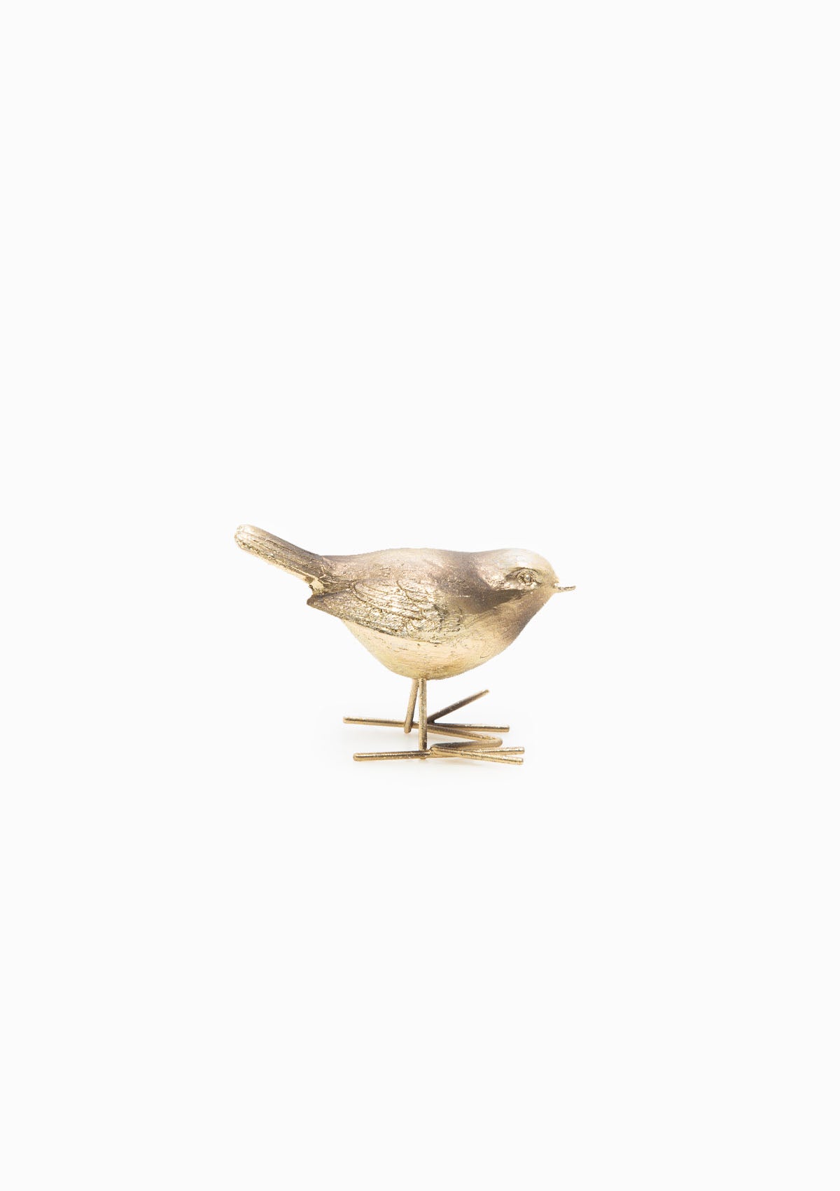 Brass Sun Bird