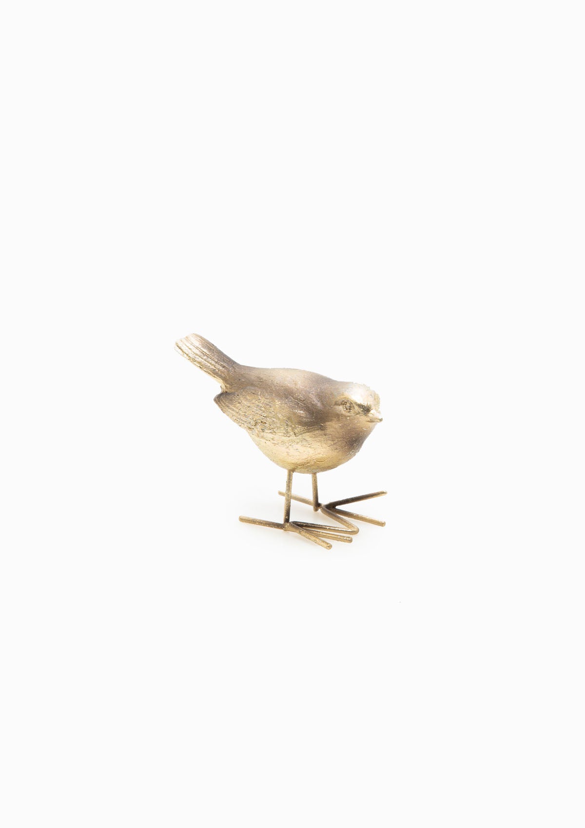 Brass Sun Bird