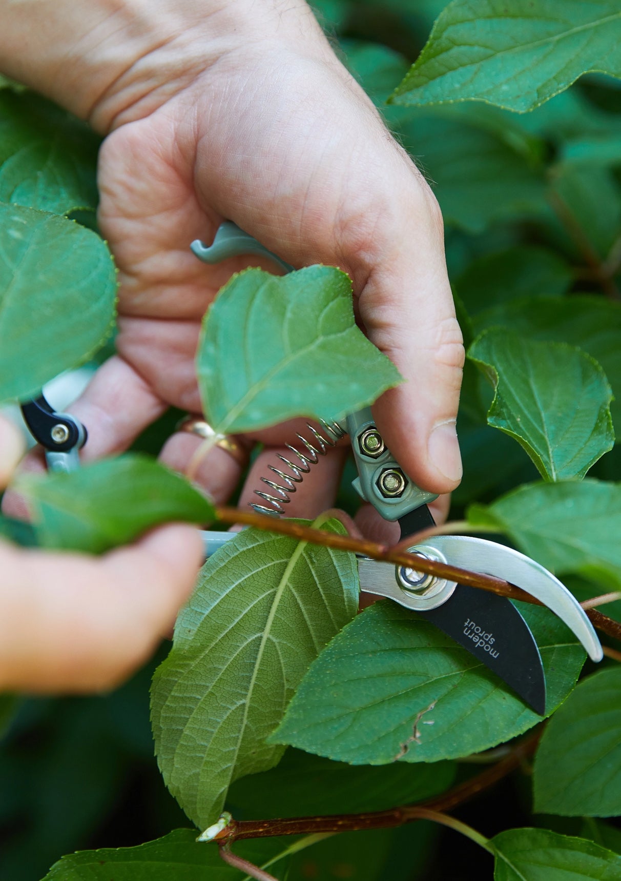 Garden Pruners | Sage