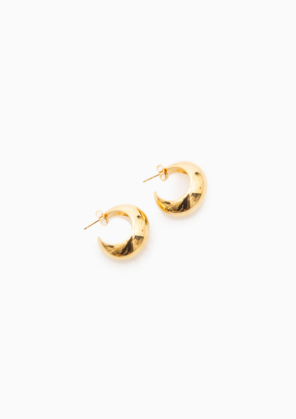 Small Shiny Crescent Earrings | Dore