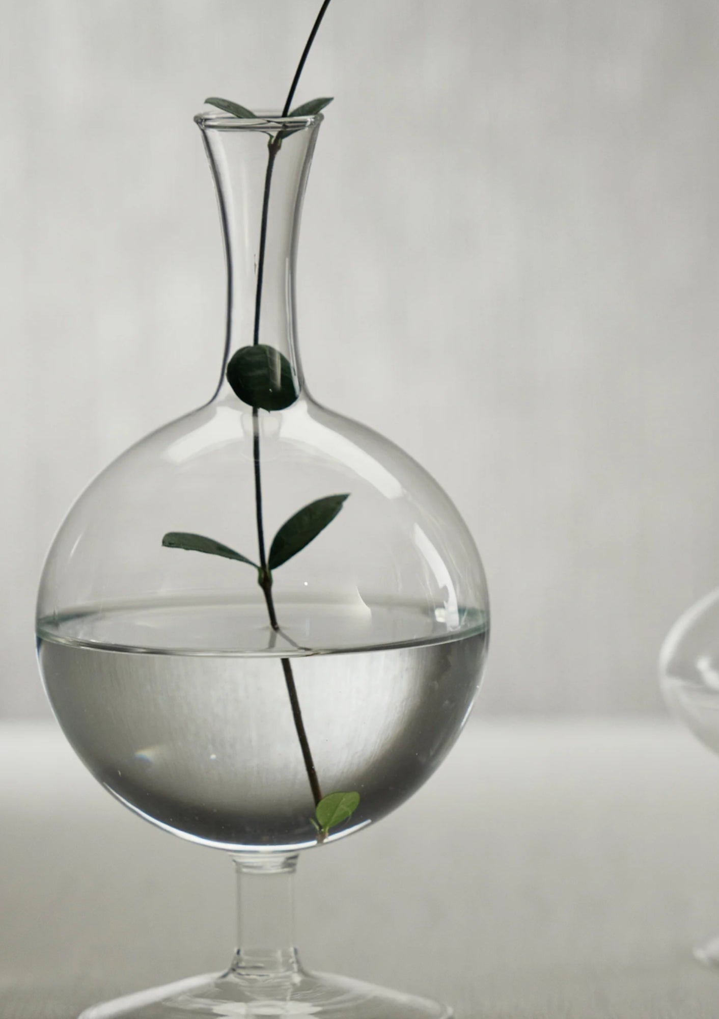 Lily Glass Footed Vase | Round