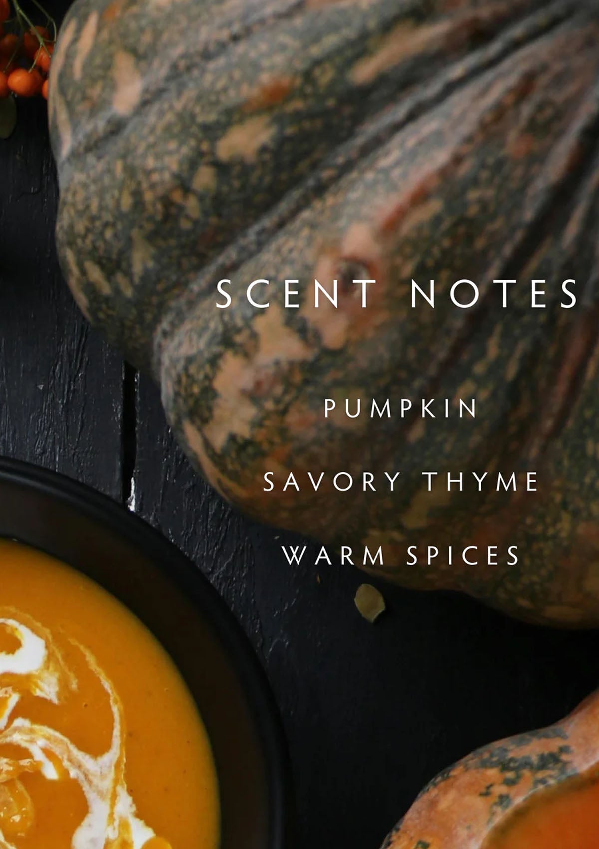 Harvest Pumpkin Double Wick Candle