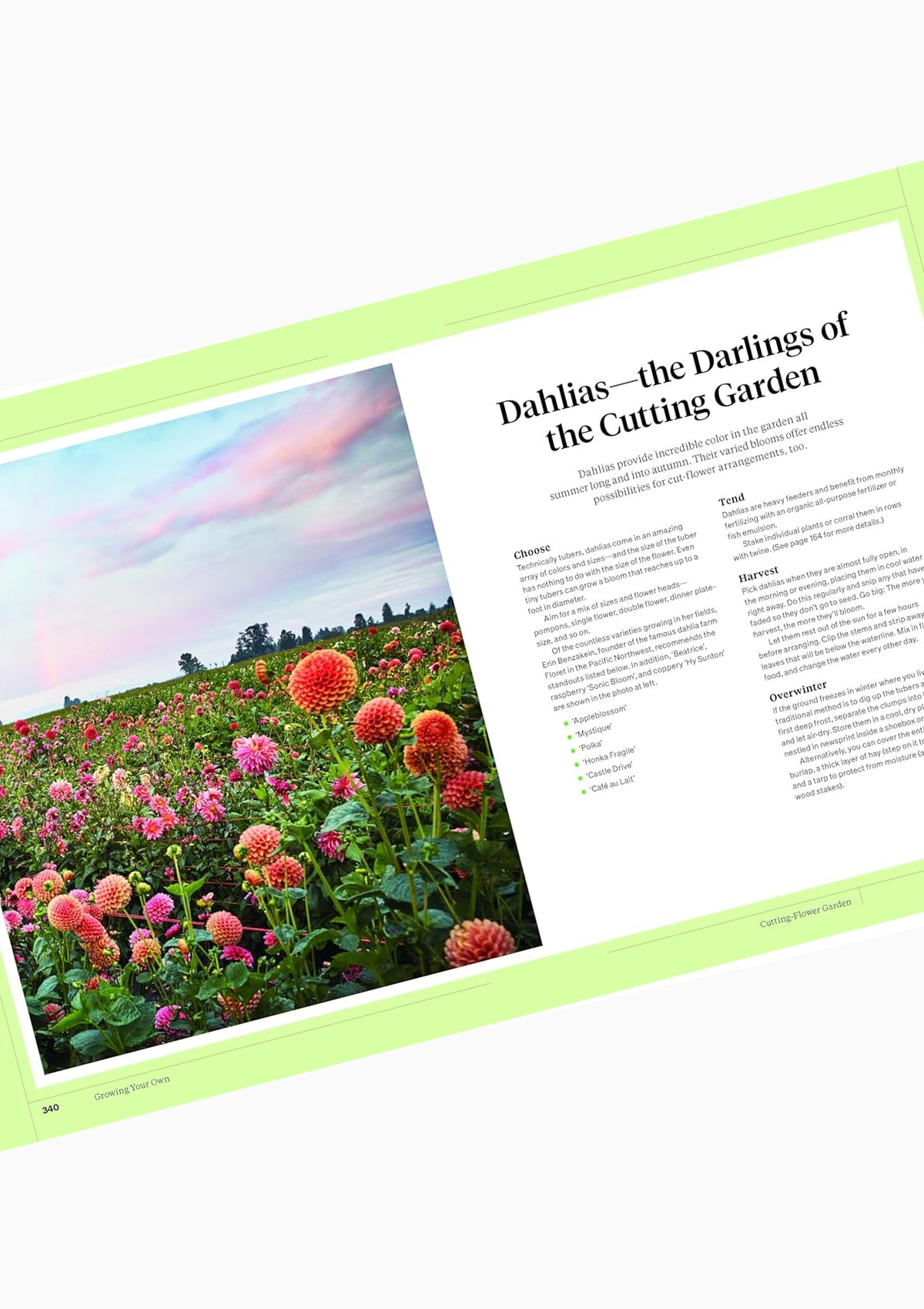 Martha Stewart's Gardening Handbook