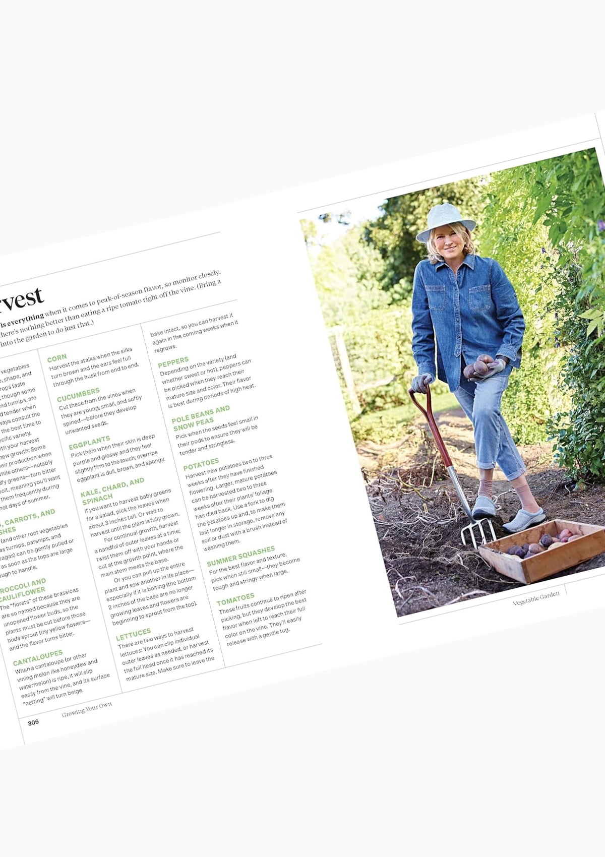 Martha Stewart's Gardening Handbook