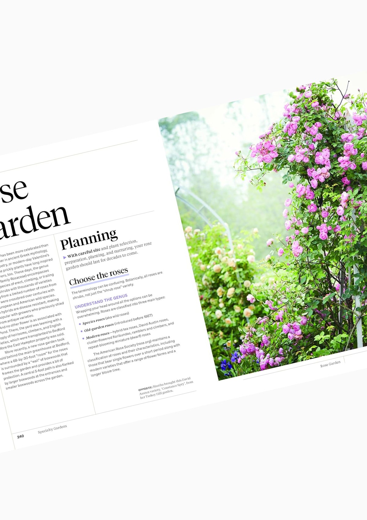 Martha Stewart's Gardening Handbook