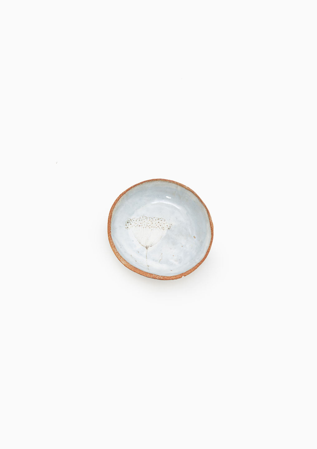 Small Plate Wildflower Grey 5