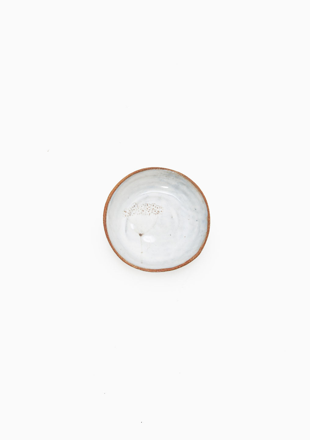 Small Plate Wildflower Grey 7