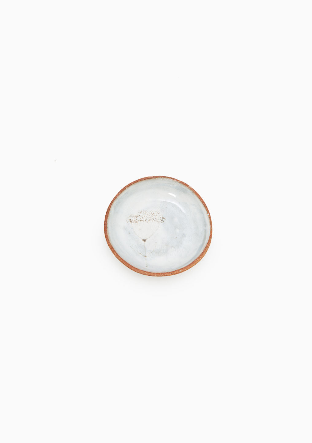 Small Plate Dandelion Grey 2
