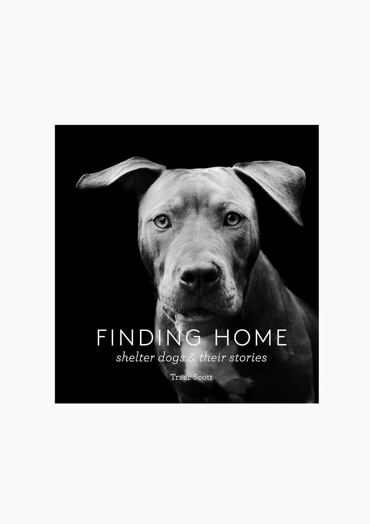 Finding Home | Shelter Dogs and Their Stories